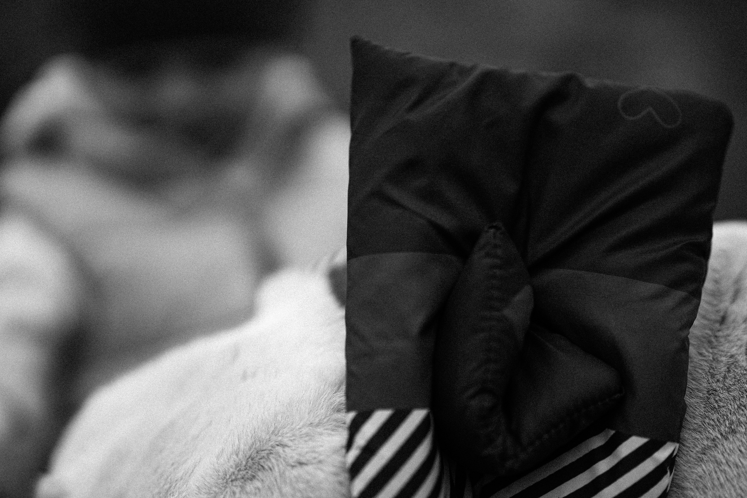 Желтые точки ромашек. Искренний фотограф