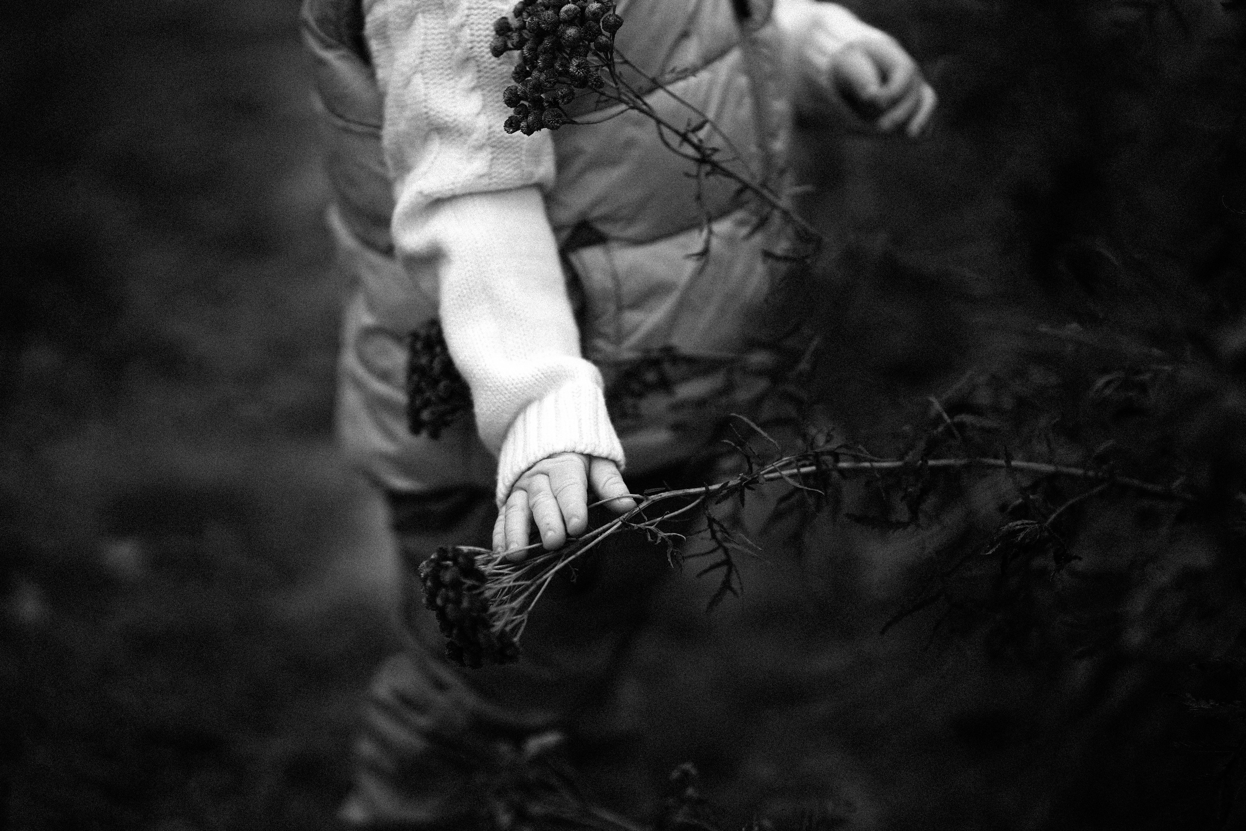 Ж е л т ы е  точки ромашек. Искренний фотограф