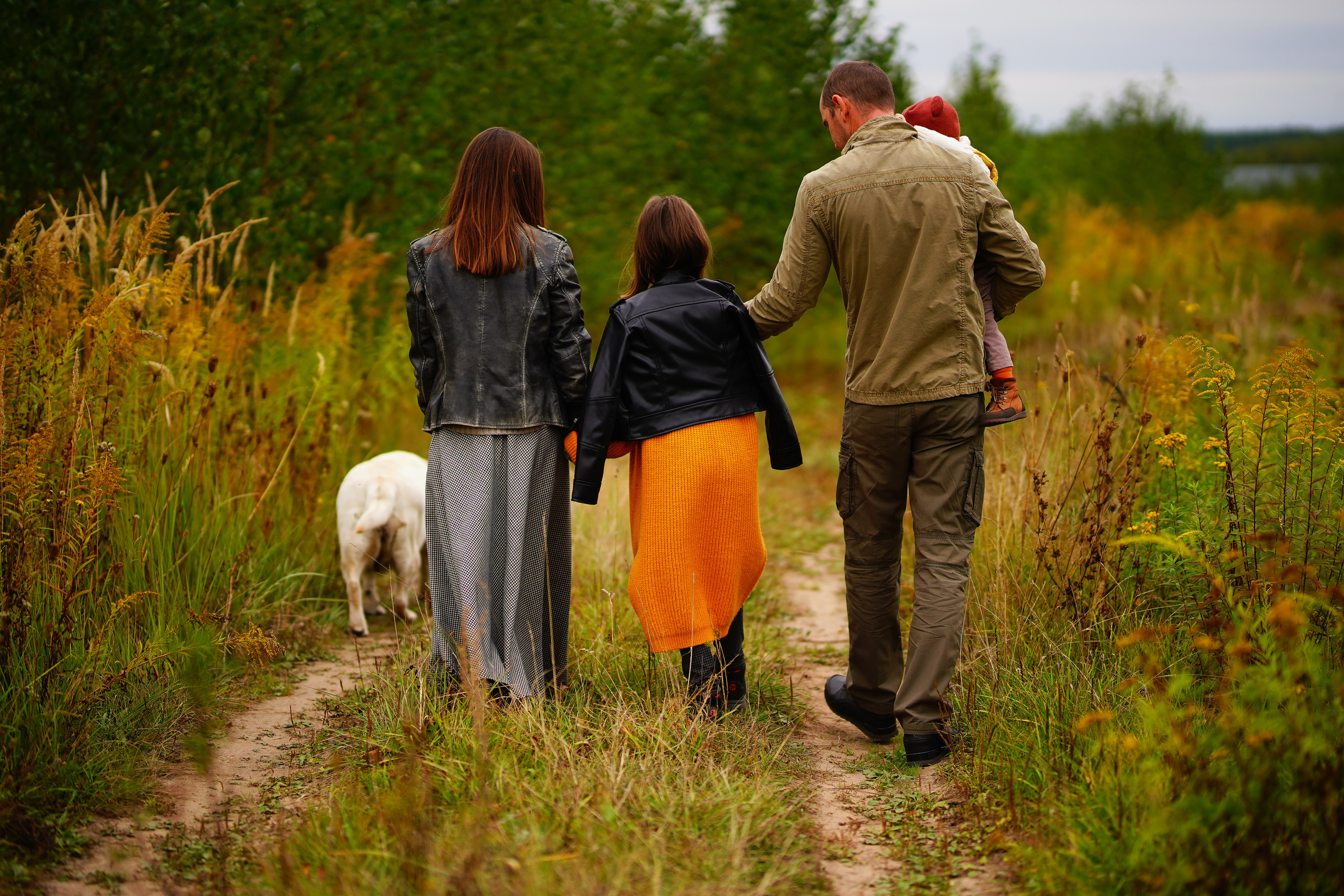 Желтые точки ромашек. Искренний фотограф