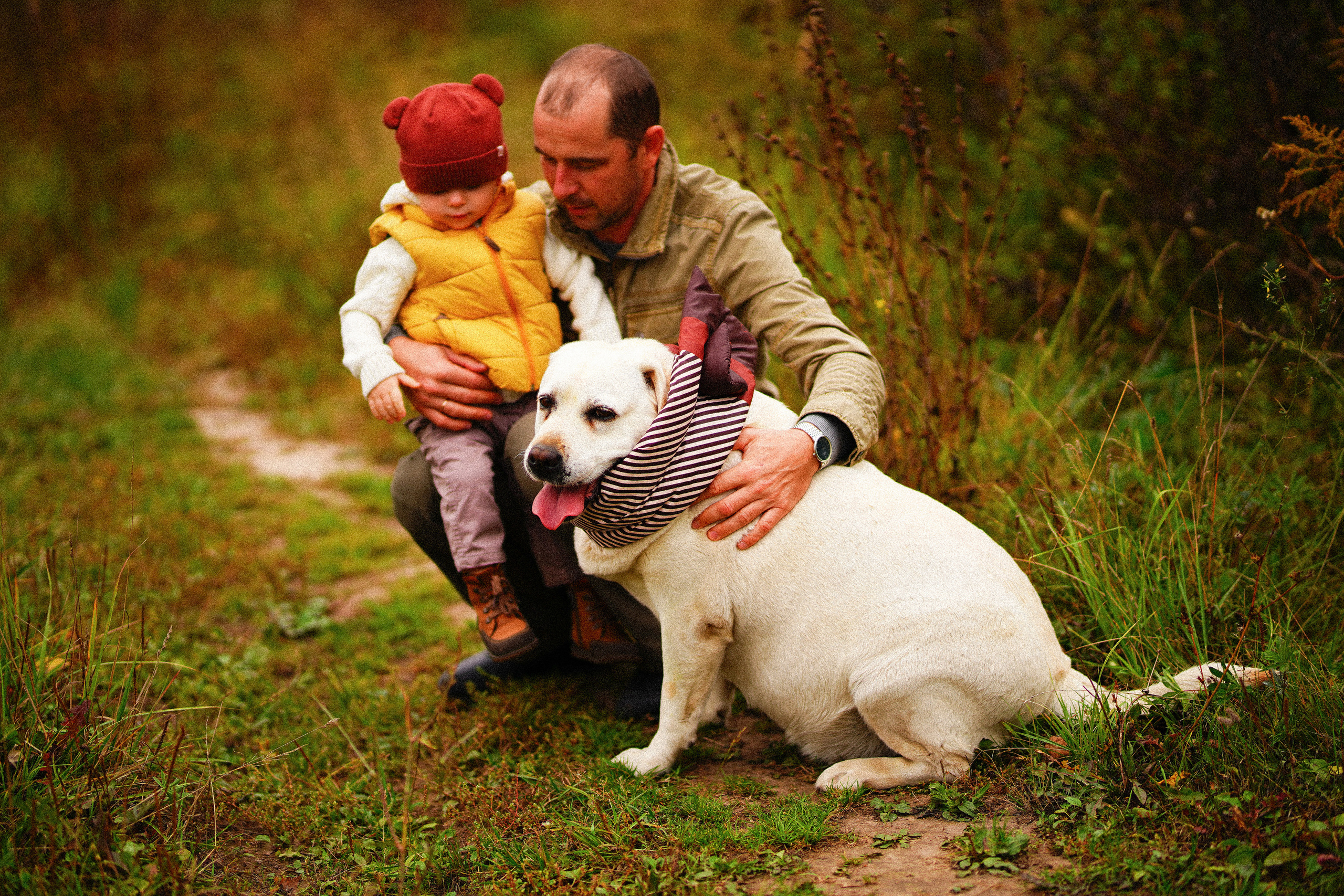 Желтые точки ромашек. Искренний фотограф
