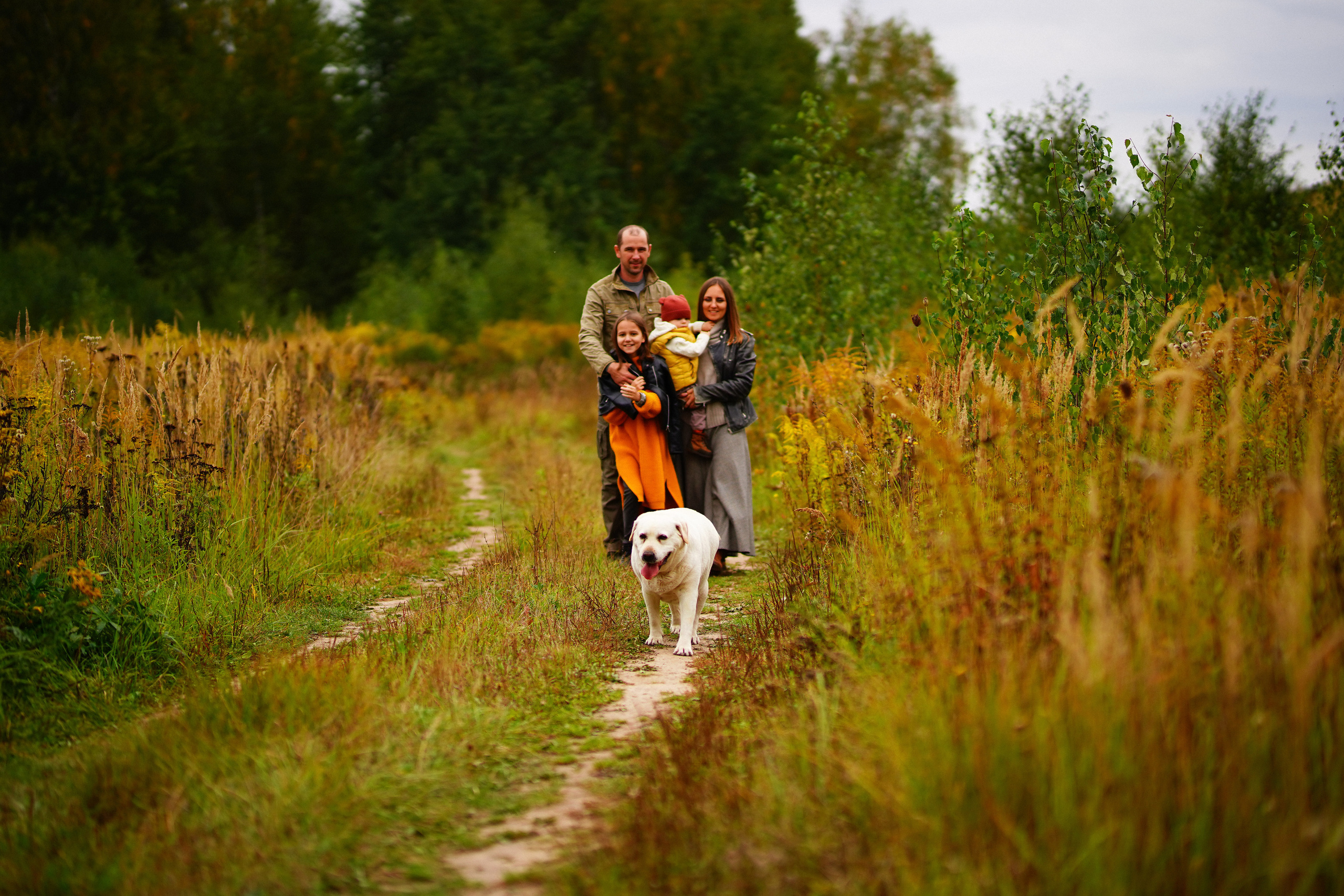 Желтые точки ромашек. Искренний фотограф