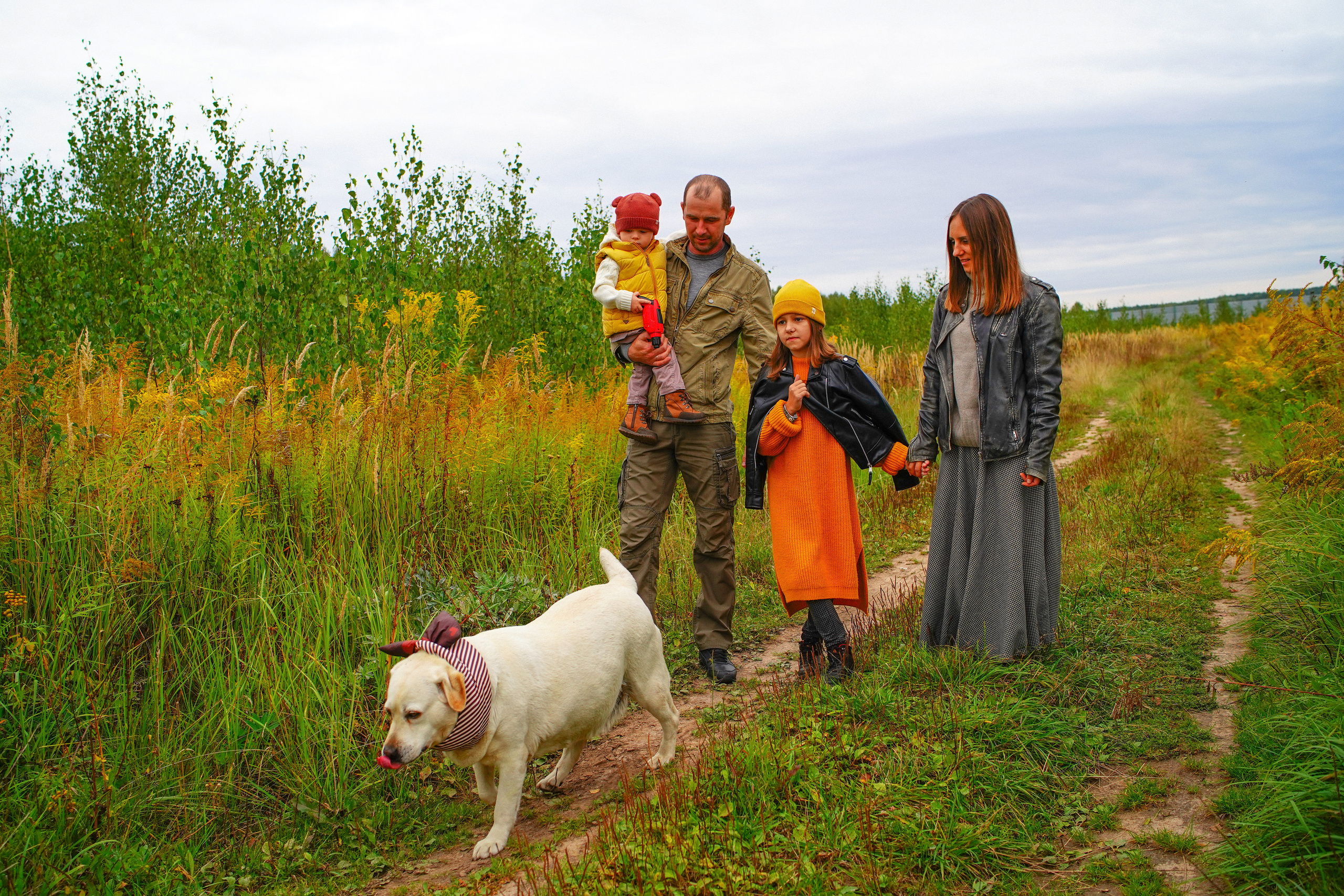 Желтые точки ромашек. Искренний фотограф