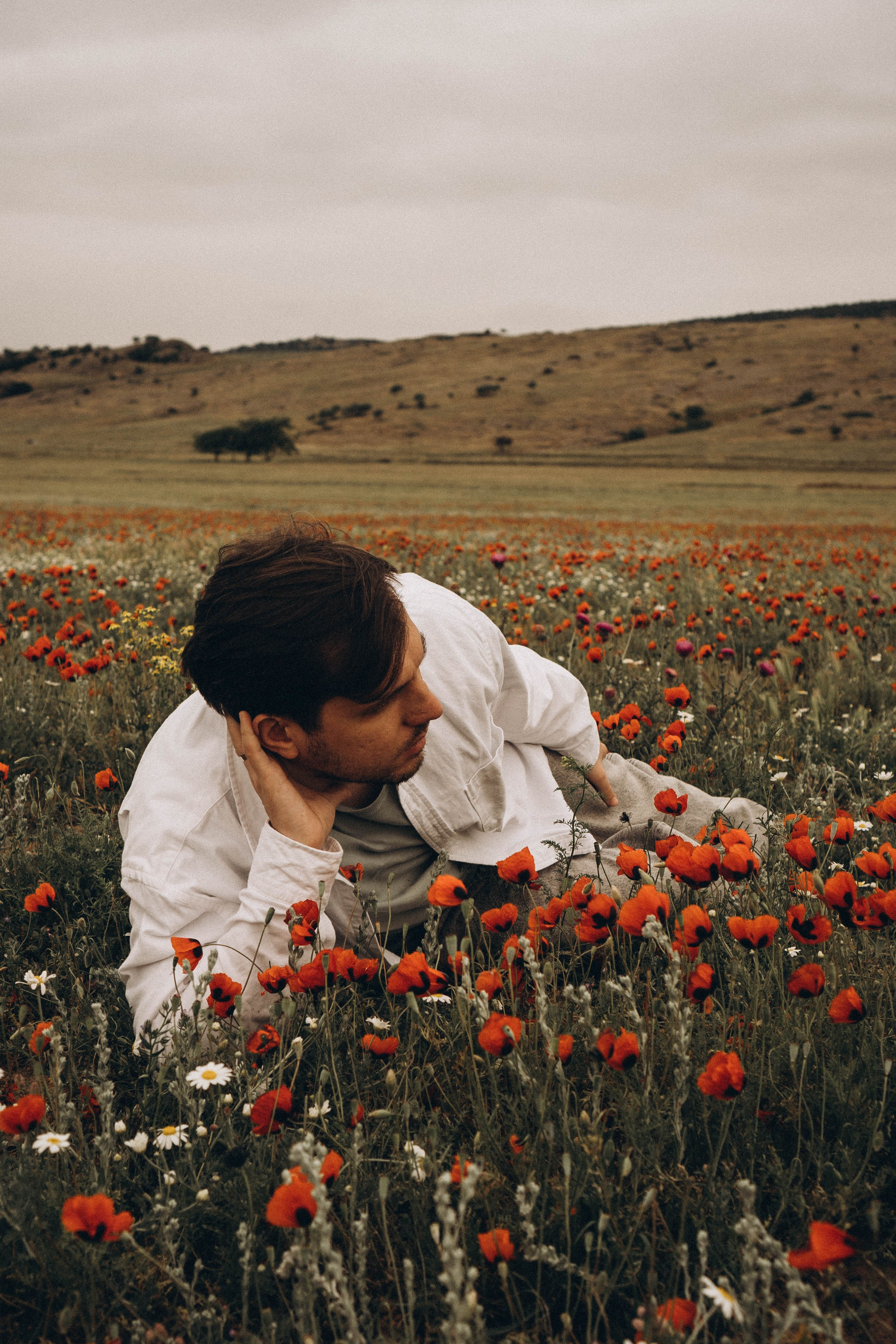 Маки. Профессиональный фотограф, Санкт-Петербург — Виктория Богомолова