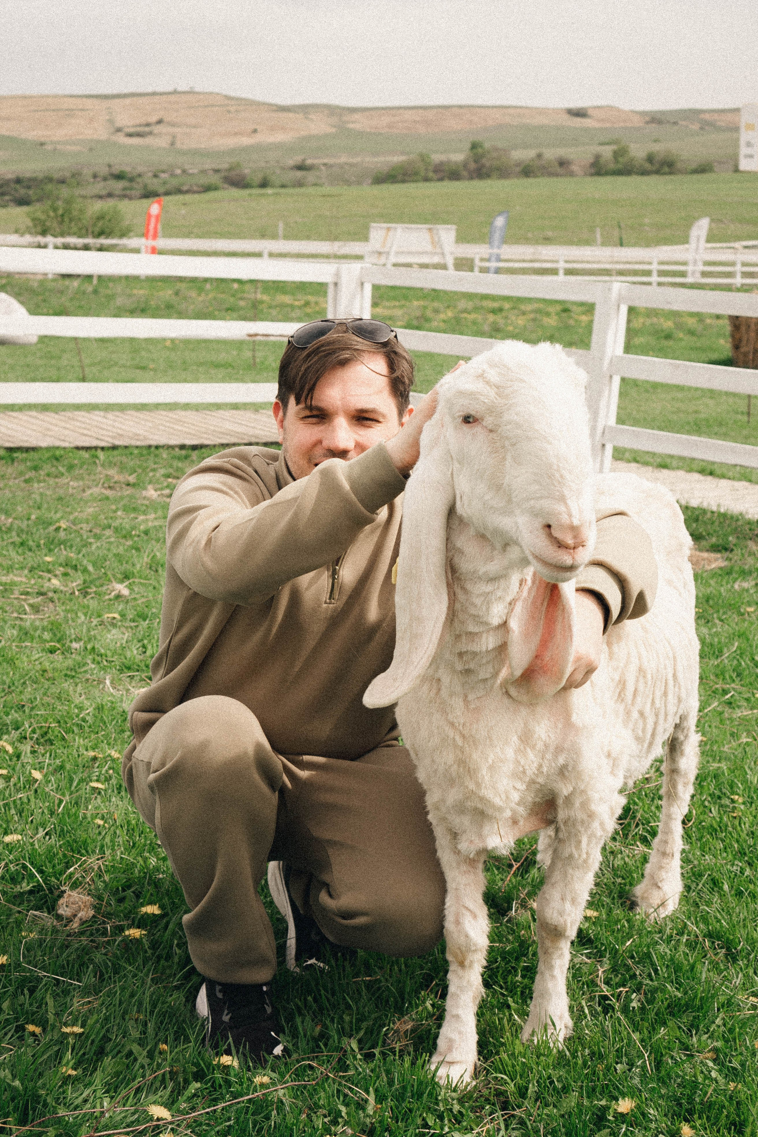 Ферма Альпак. Профессиональный фотограф, Санкт-Петербург — Виктория Богомолова