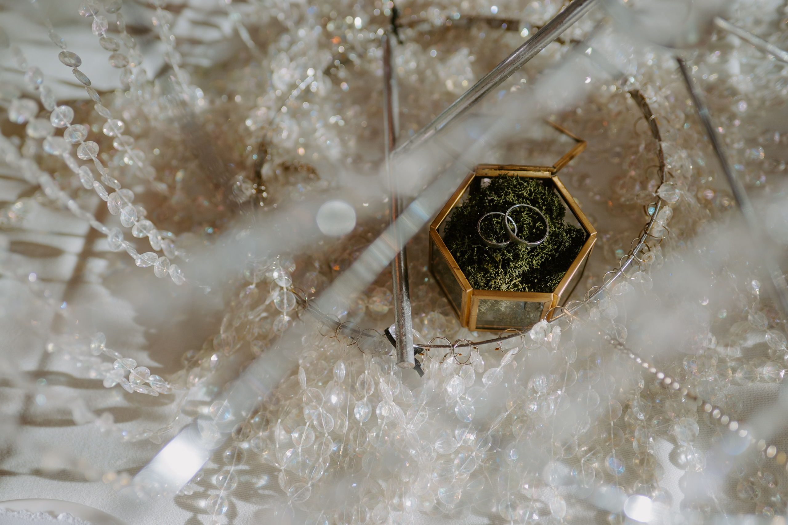 Жить вечно. Свадебный, репортажный и семейный фотограф в Москве Арина Зак