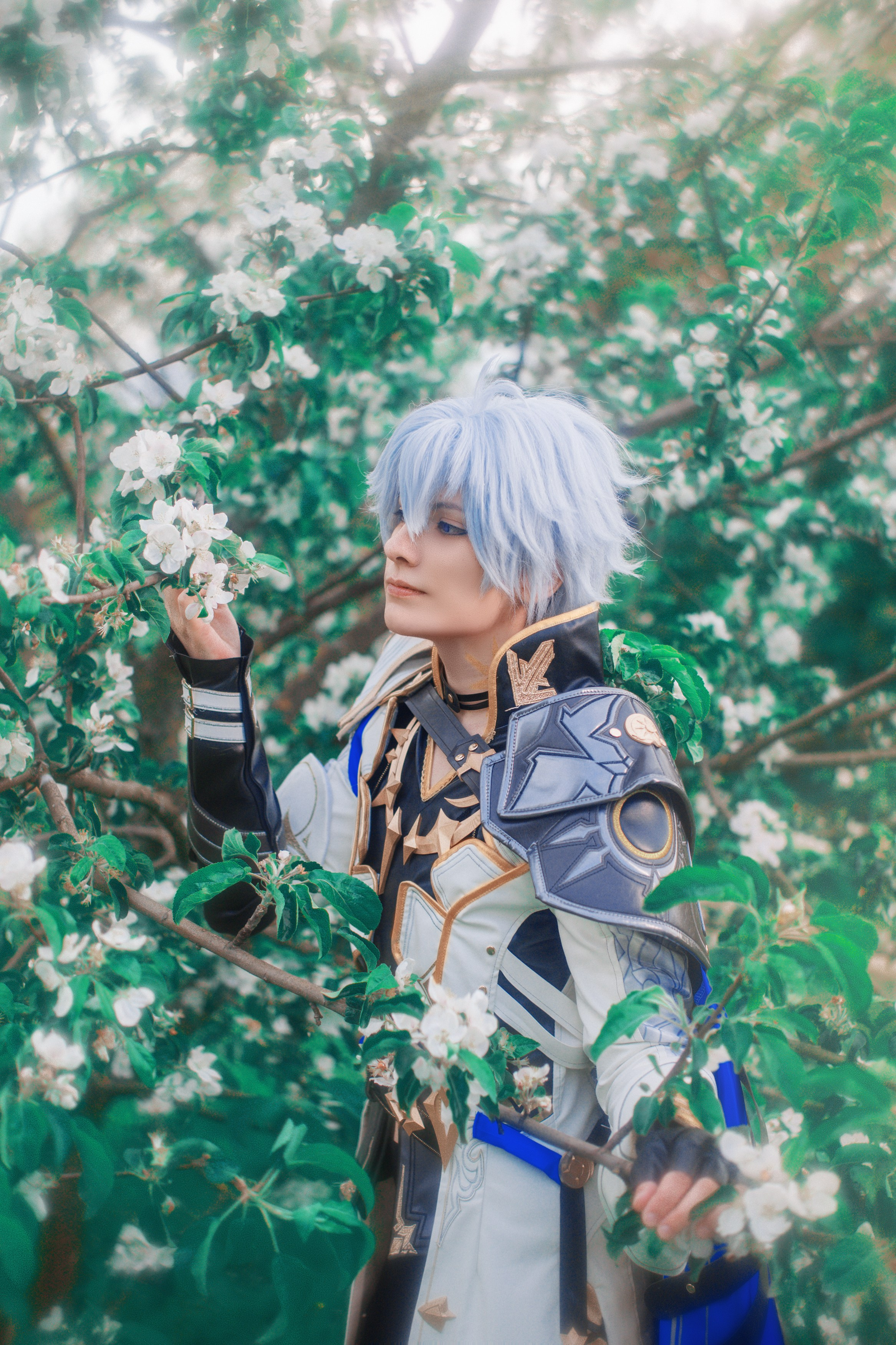 HSR: Phainon. Polaroud love