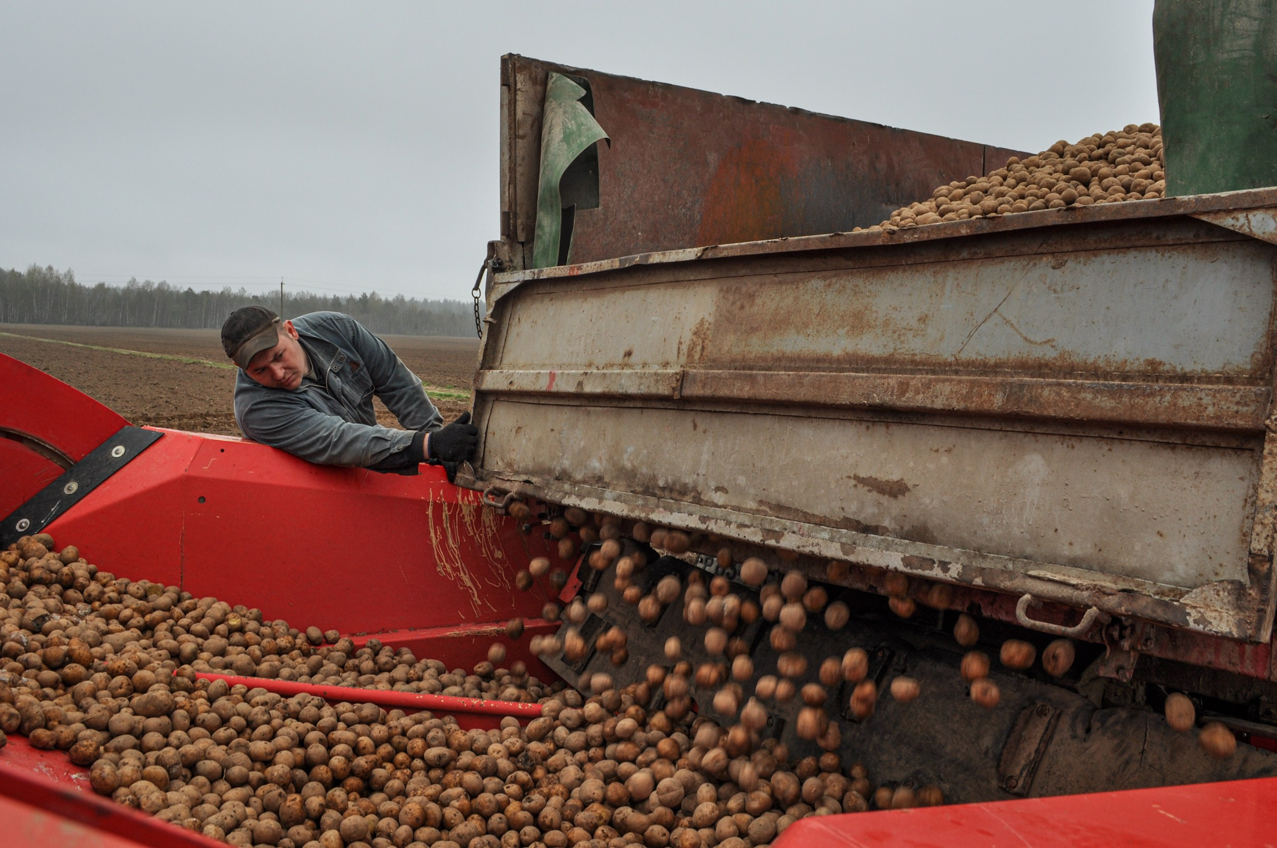 Производственные организации. Фотограф Юлия Близнецова