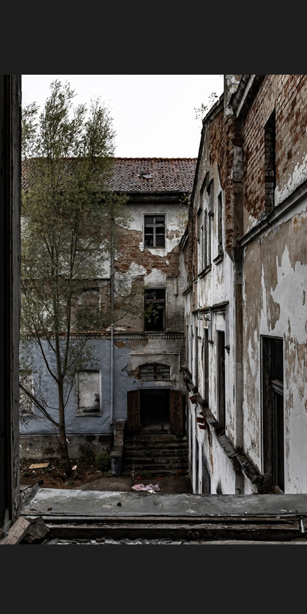 Портфолио ИИ. AI-контент (генерации ИИ-фото и видео), стоковые фотографии Калининградской области