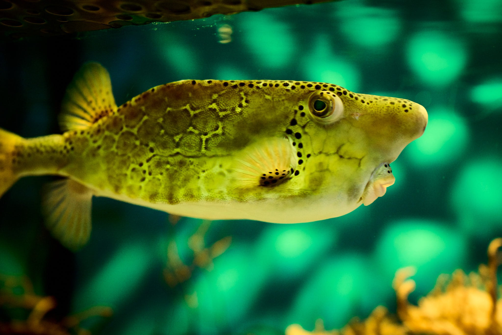 ZOO. ФОТОГРАФ ЕКАТЕРИНБУРГ