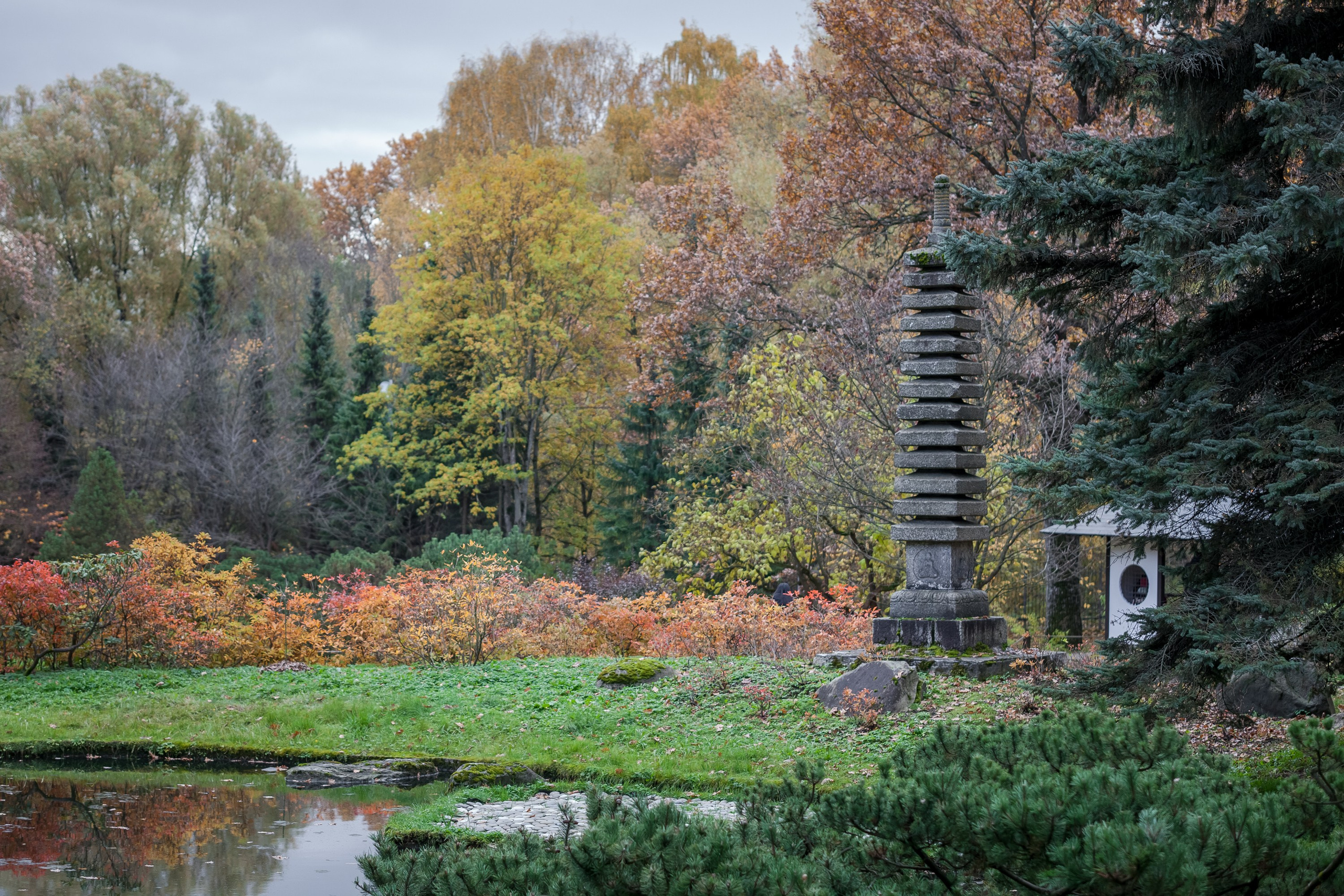 Ботанический сад имени Н. В. Цицина. Фотограф Виталий Туманов. Туманов Виталий — фотограф Москва