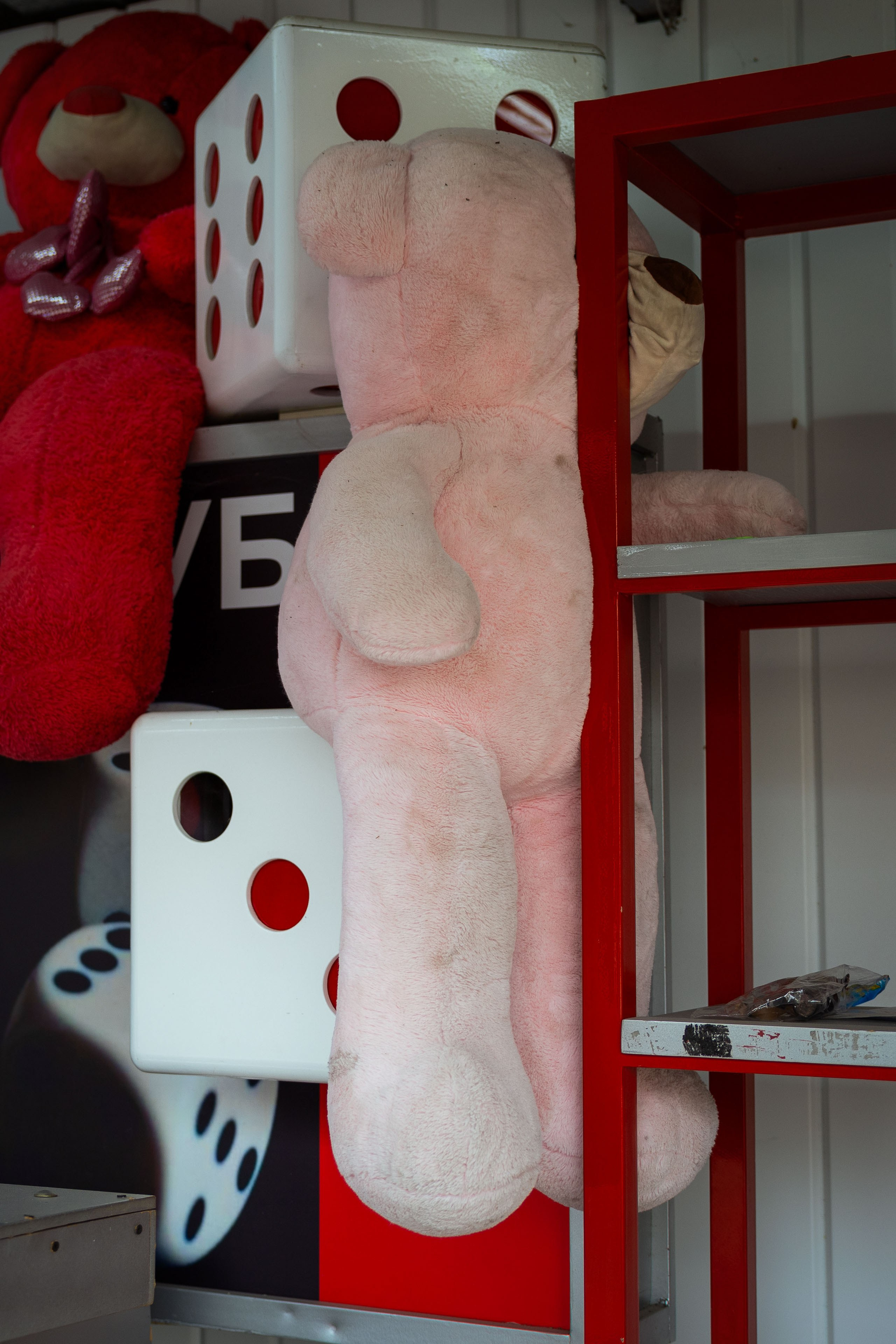 Казахстан (осень 2024). Фотограф Виноградов Константин