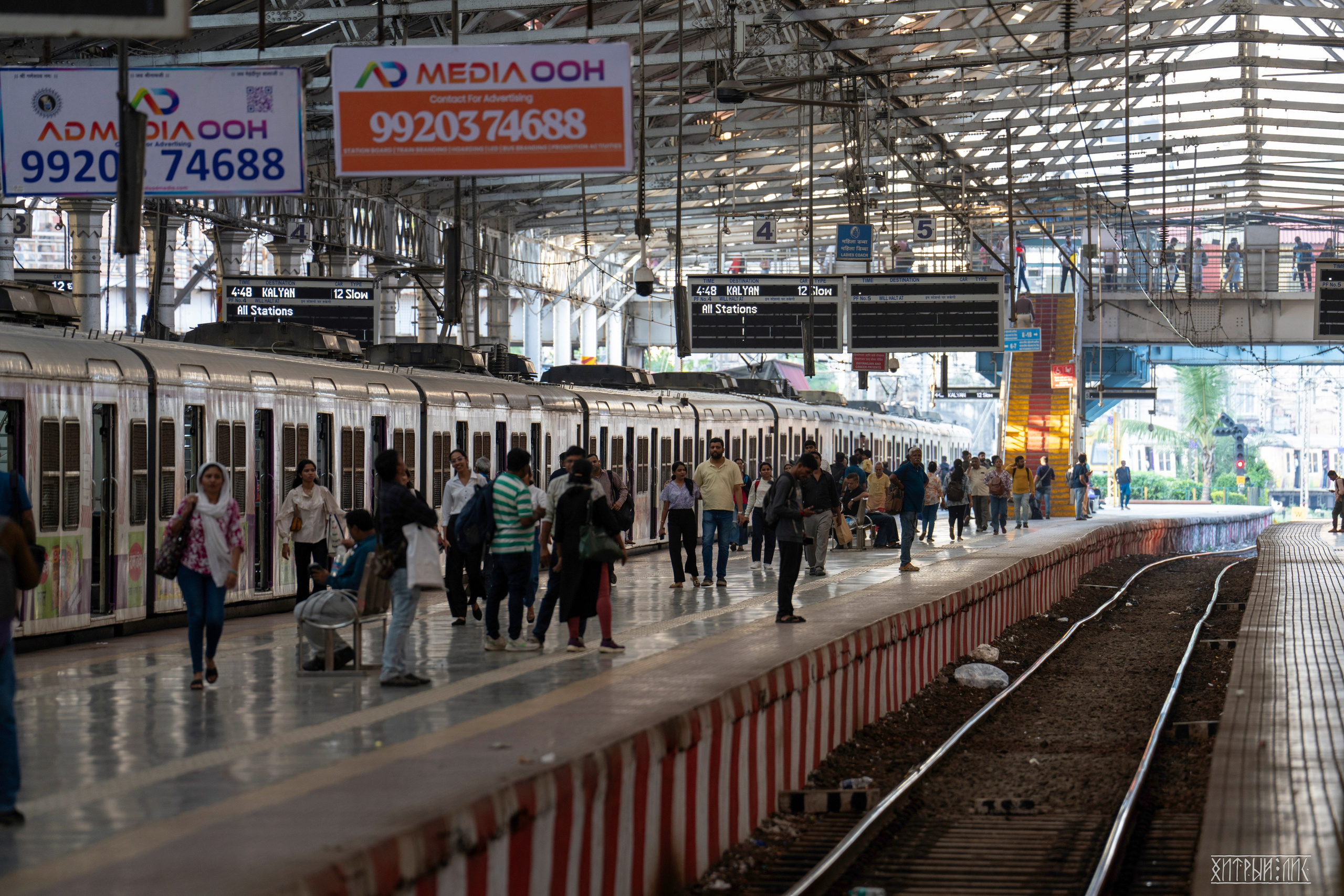 Гоа-Мумбаи. Фотограф-путешественник Самойлов Максим «Sly Fox»