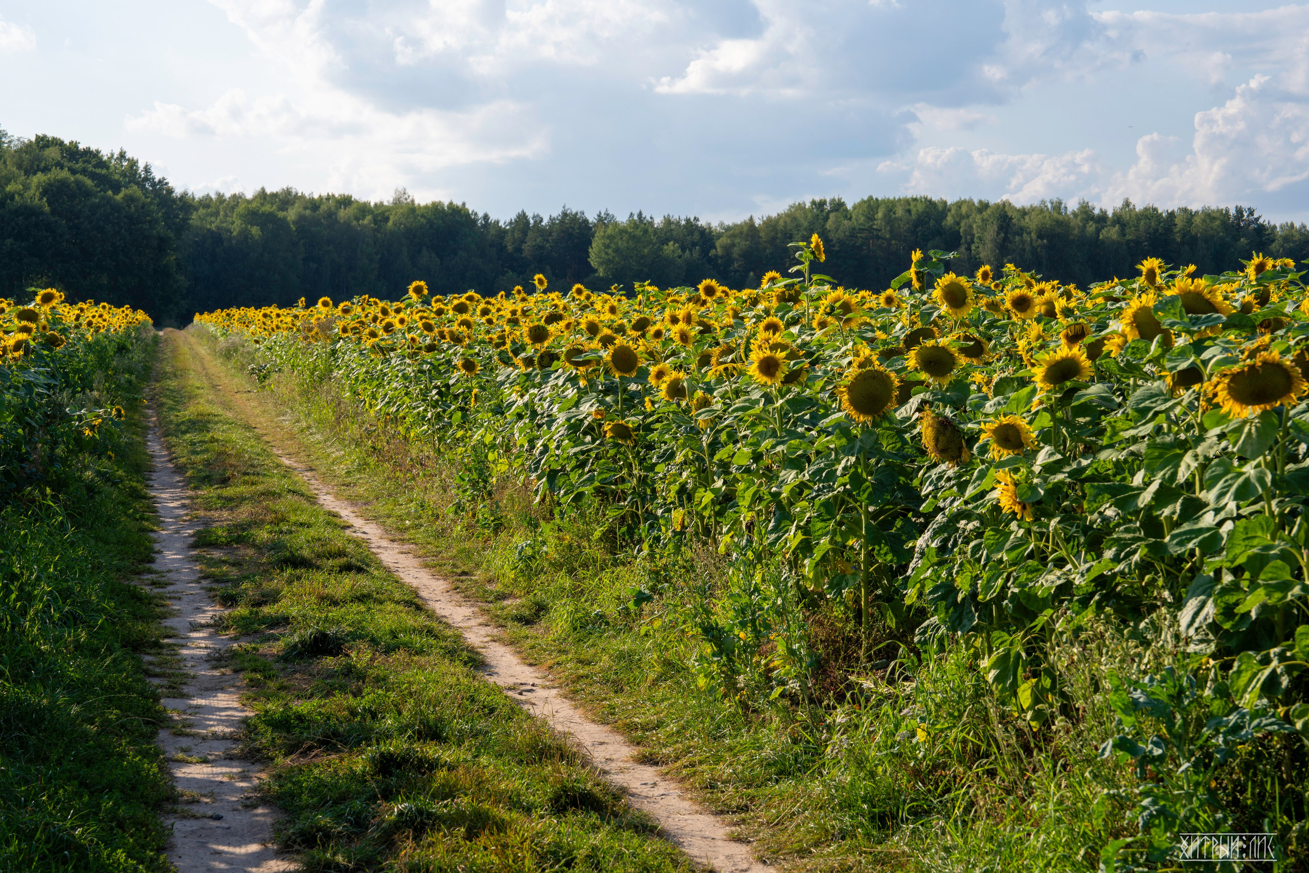 Беларусь. Фотограф-путешественник Самойлов Максим «Sly Fox»