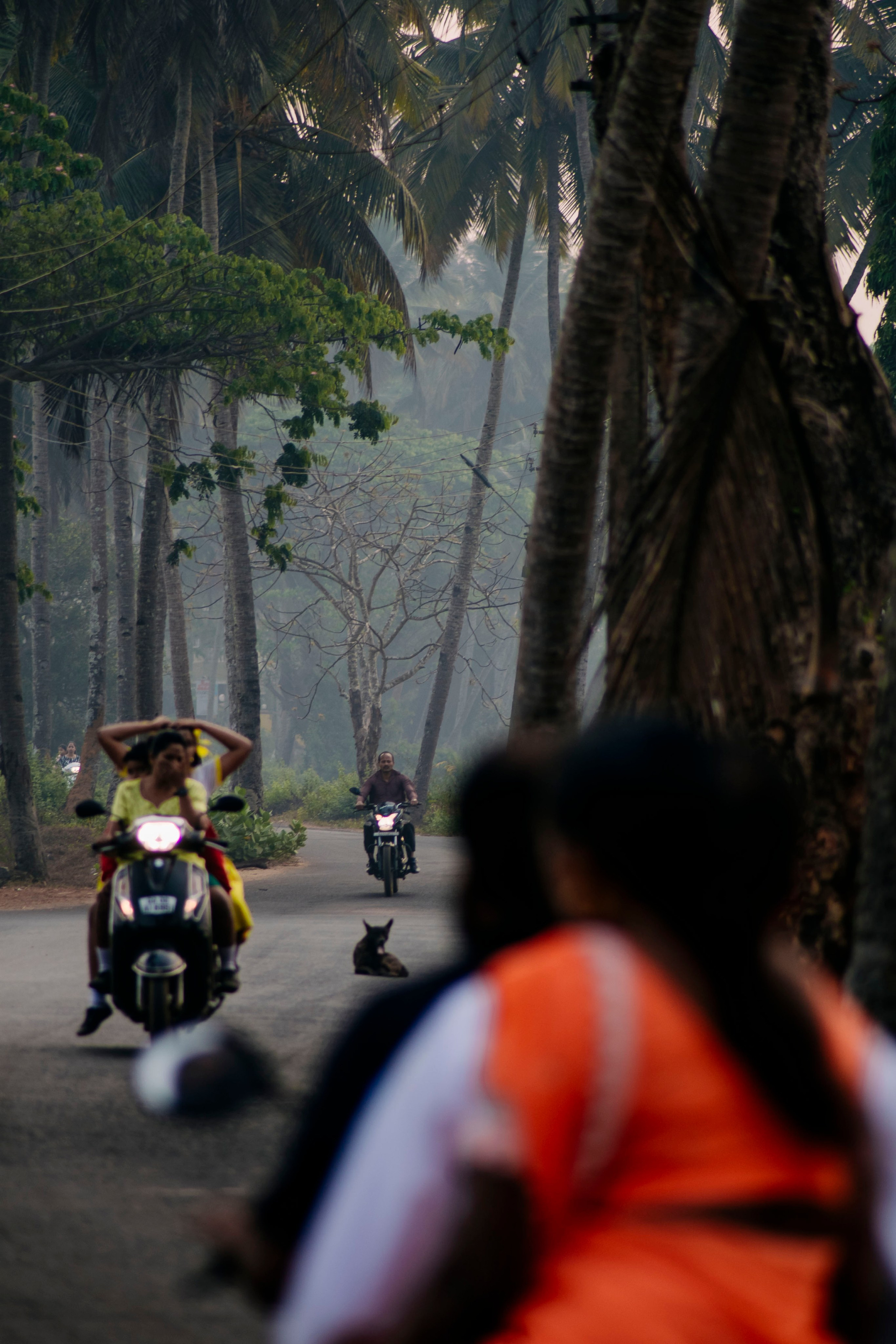 Гоа. индия. Iraogo