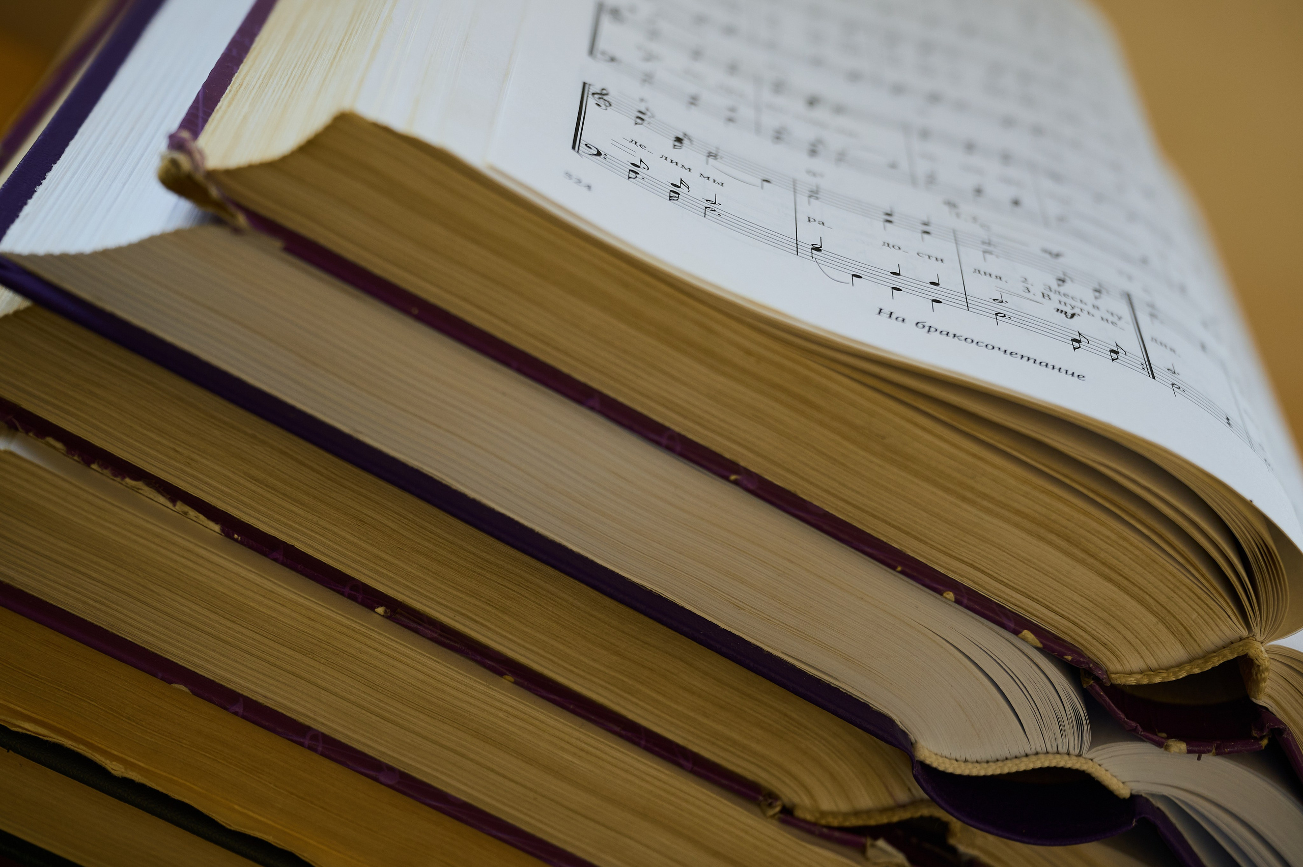 Степан и Екатерина. Фотограф Евдокимов Никита. Тамбов, Москва