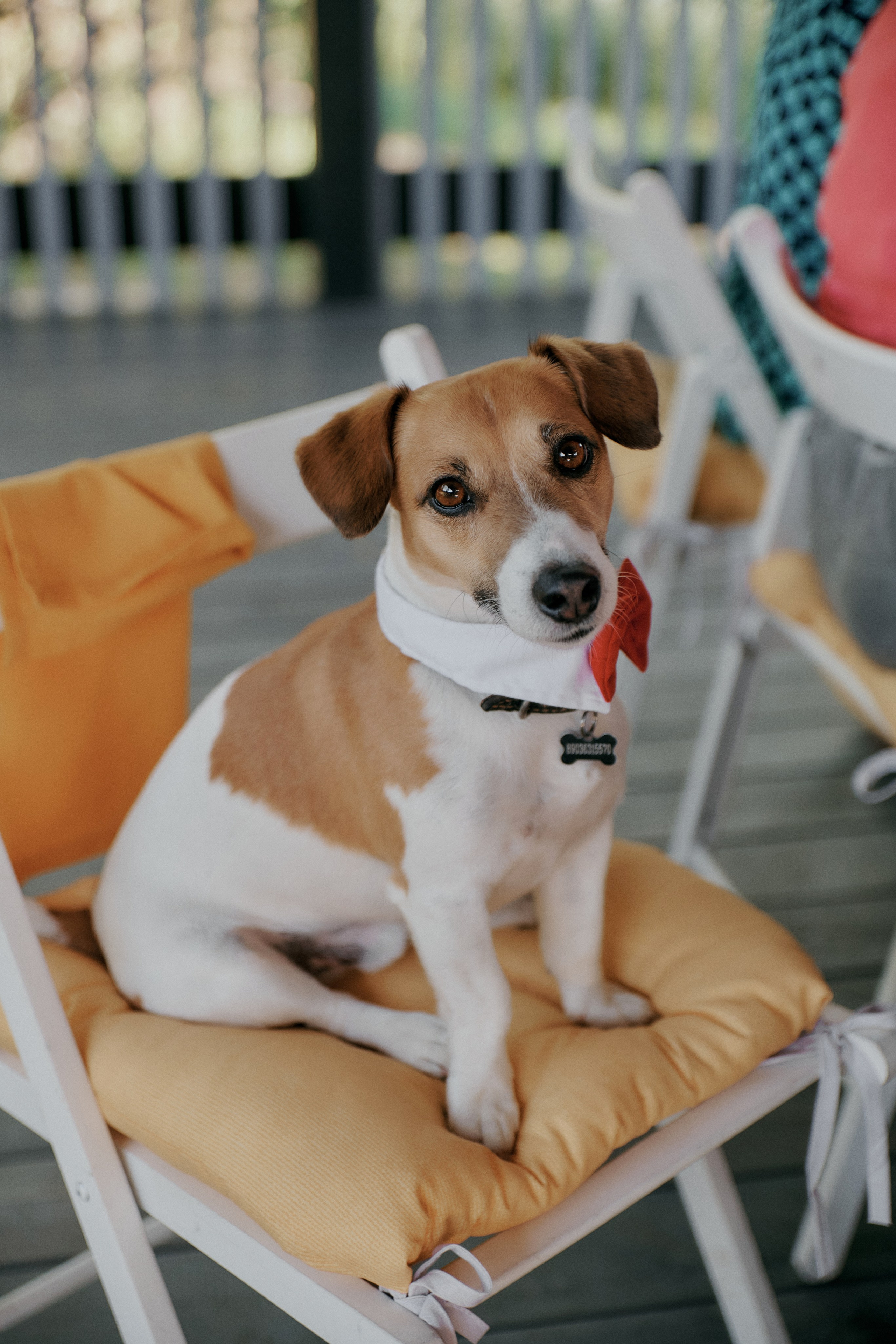 НИКИТА & АНАСТАСИЯ. ФОТОГРАФ Кристина Павлова | МОСКВА