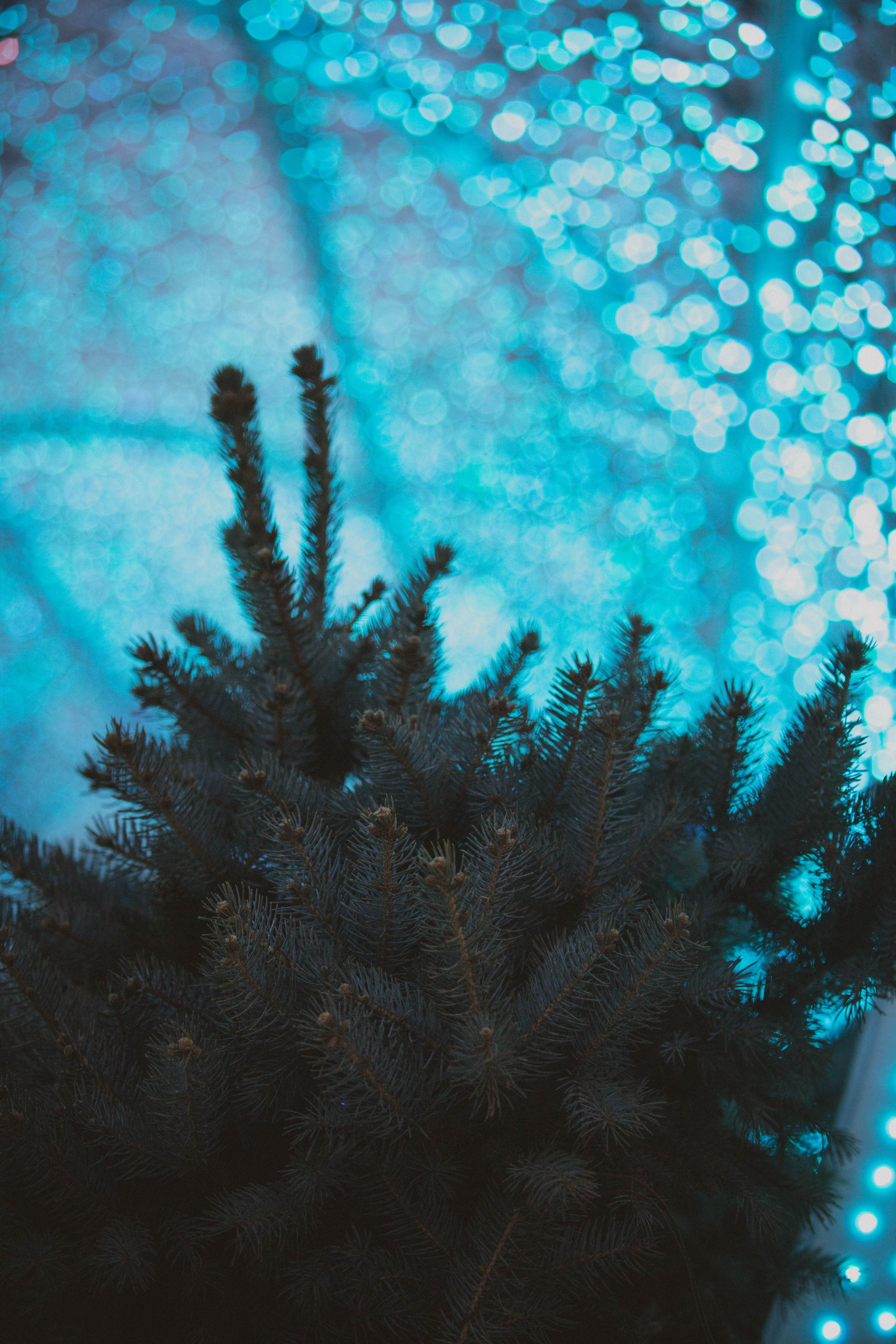 Ночная Москва. Александра Мельниченко/ Бегающий фотограф