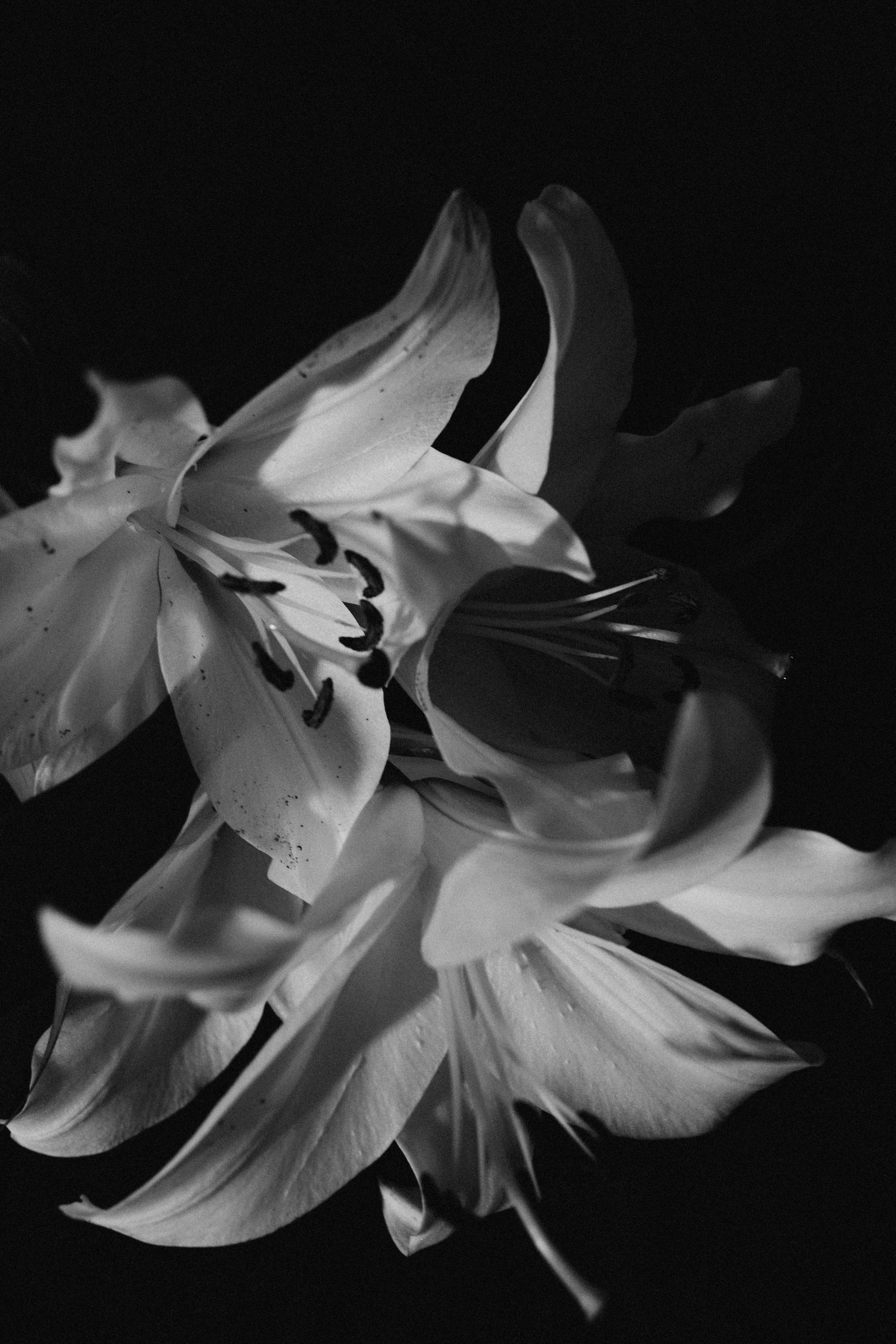 Полезно почитать. Главная