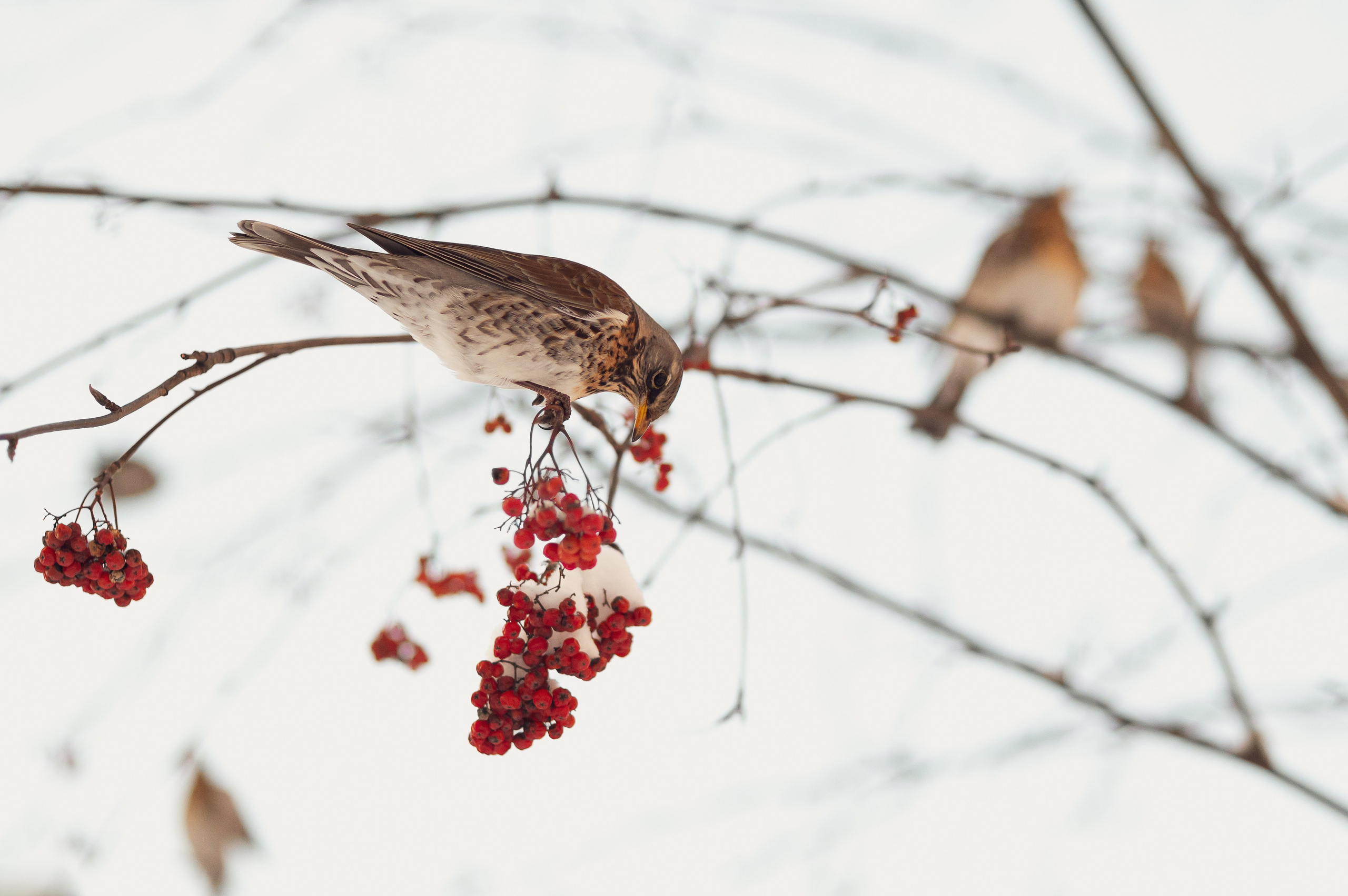 Фотограф в Москве Полина Старцева