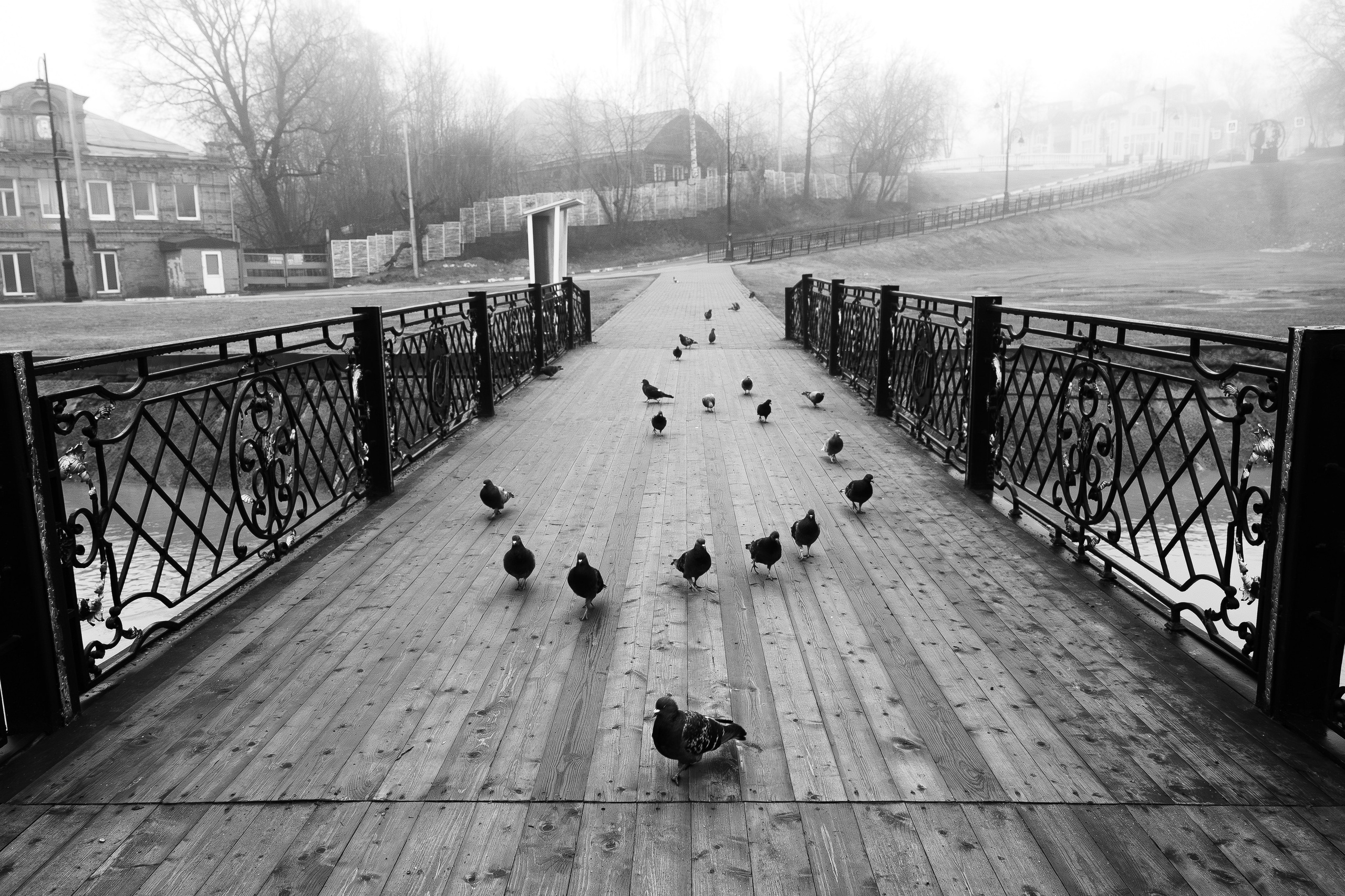 Дипломная работа. Фотограф Зиновьев Илья, Москва