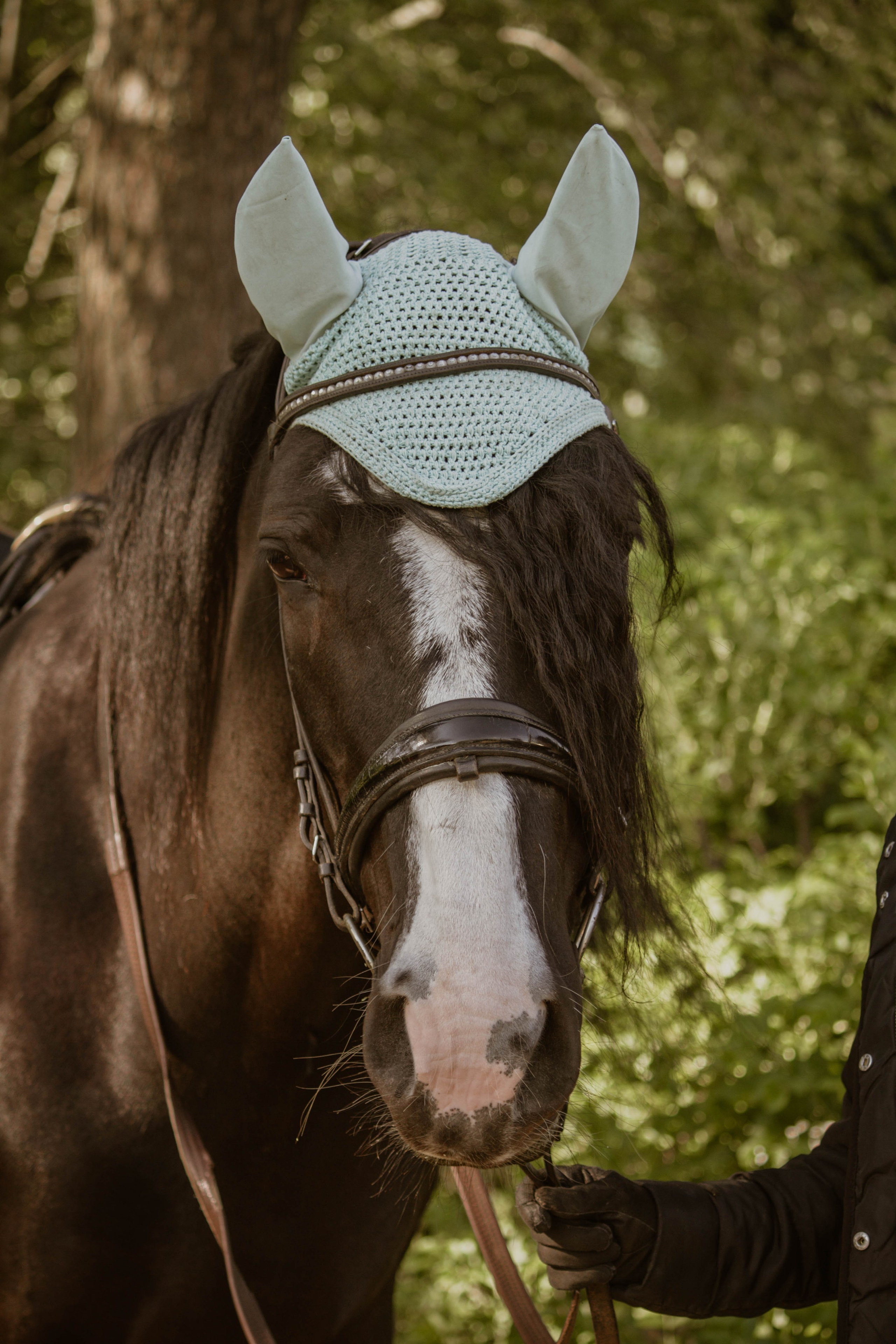 ИППОСФЕРА — Международная конная выставка. Создадим шедевр? Виталина и её фотоискусство