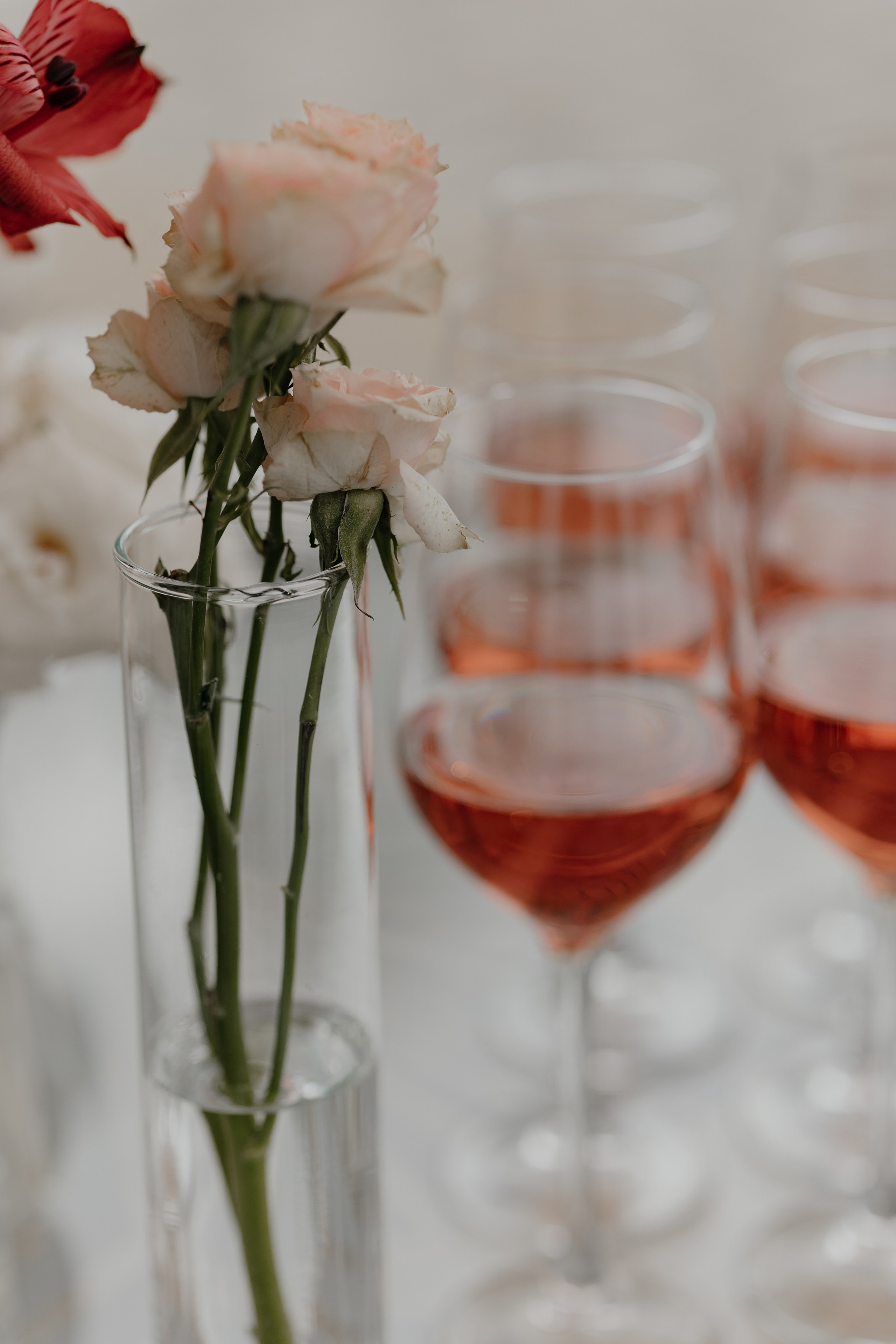 24.08.2024. RETOUCH-HOUSE