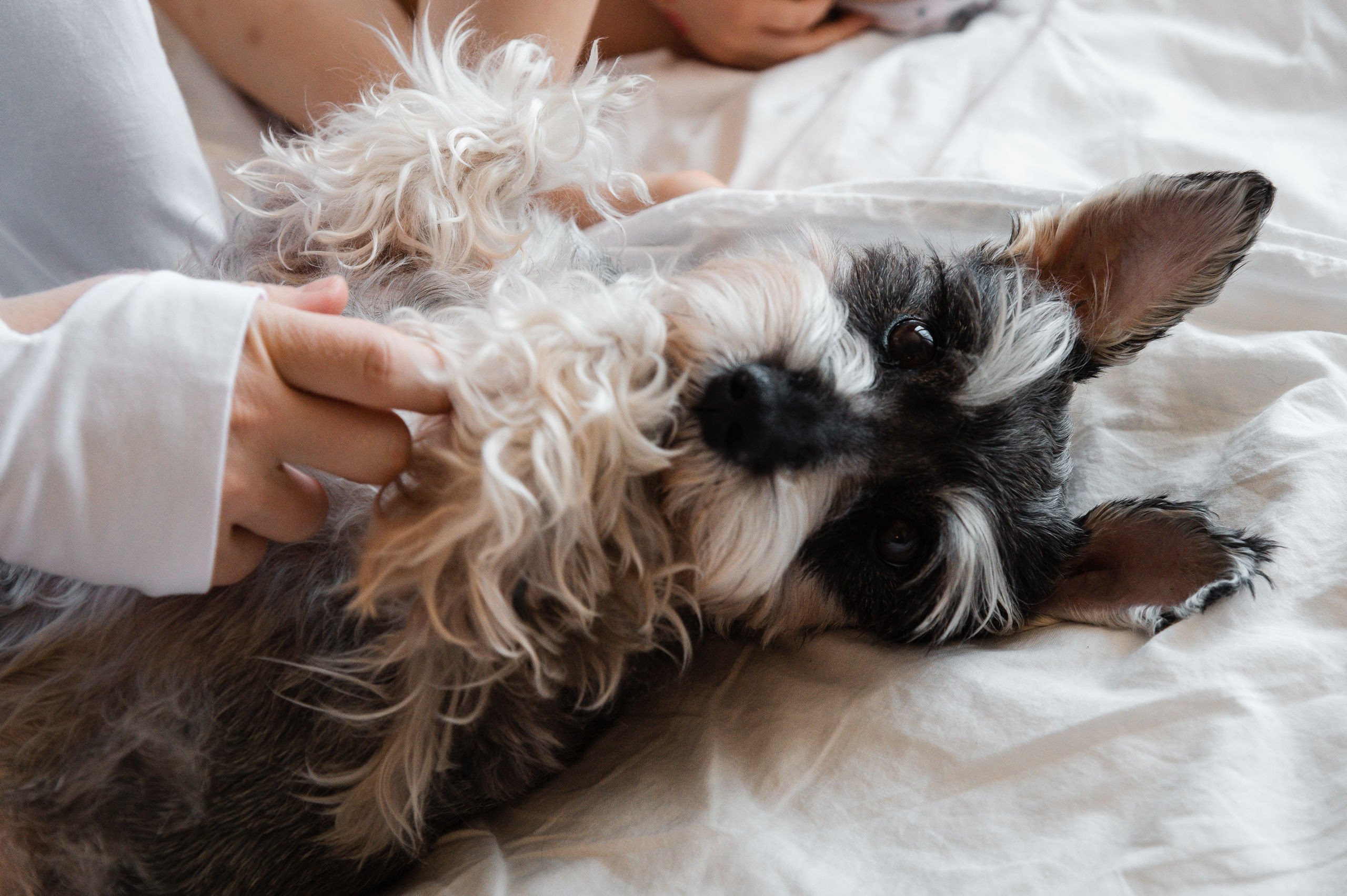 Домашняя фотосессия в ожидании малыша. Семейный, портретный, репортажный фотограф lifestyle в Москве и Кирове