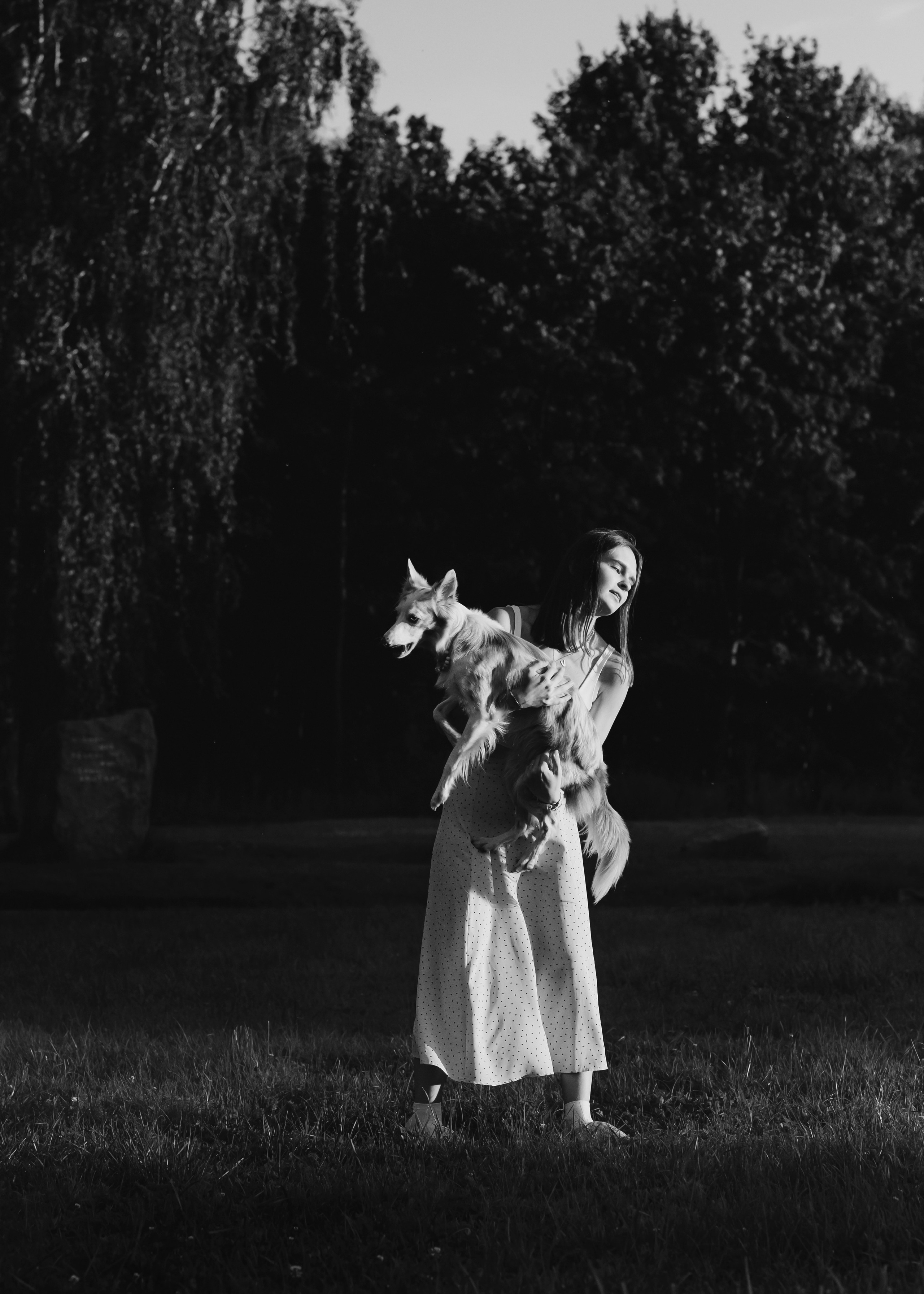 Вэй. Фотограф- анималист Александра Матвеева