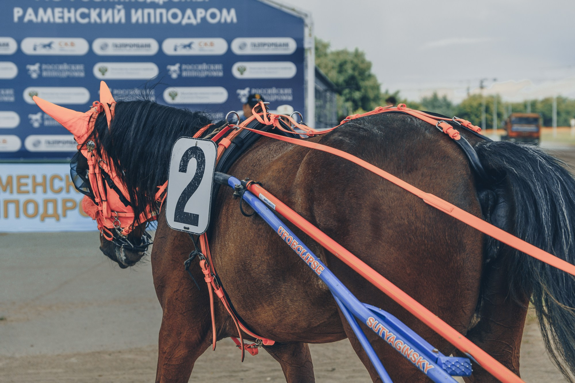 Раменский ипподром. Фотограф Яна Журавская Спб / Москва