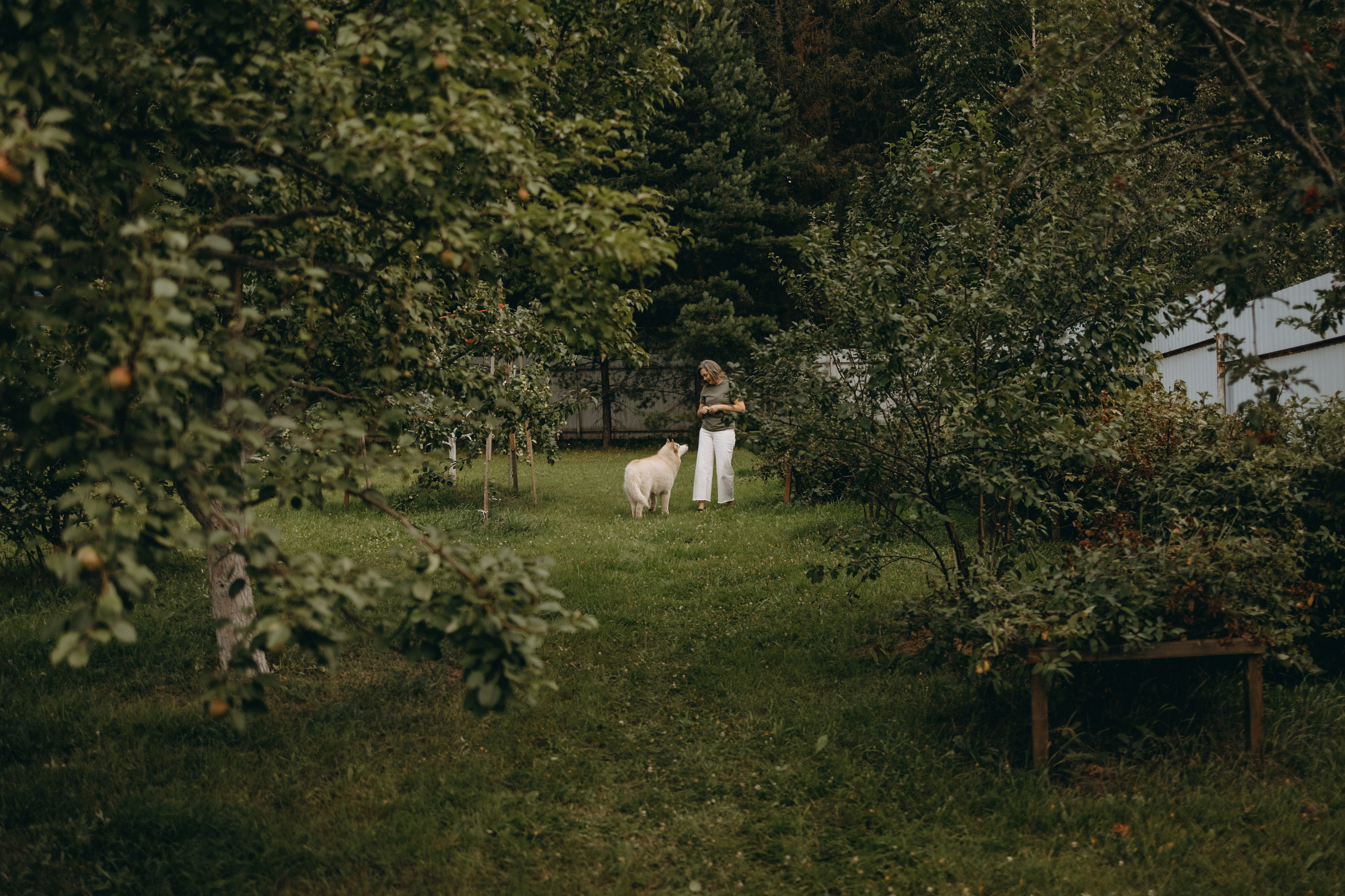 Дом у реки. Фотограф — Анималист | Санкт-Петербург