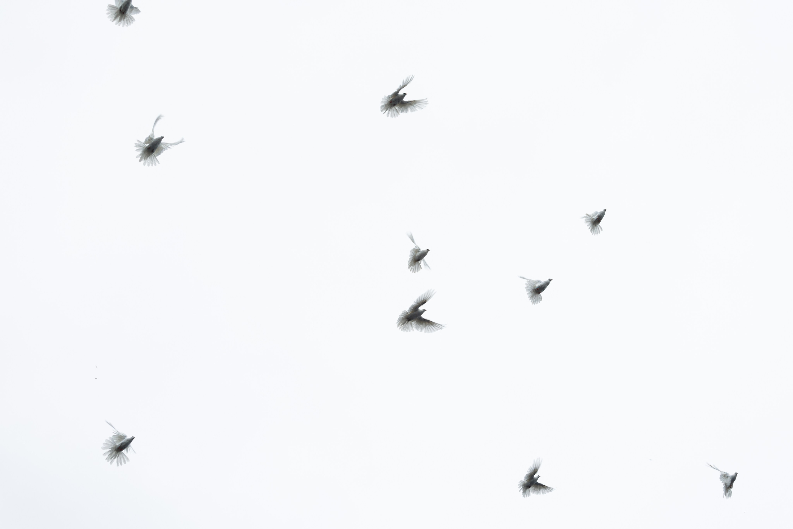 Академия МВД | Выпускной. Свадебный и репортажный фотограф в Омске. Червоткин Никита