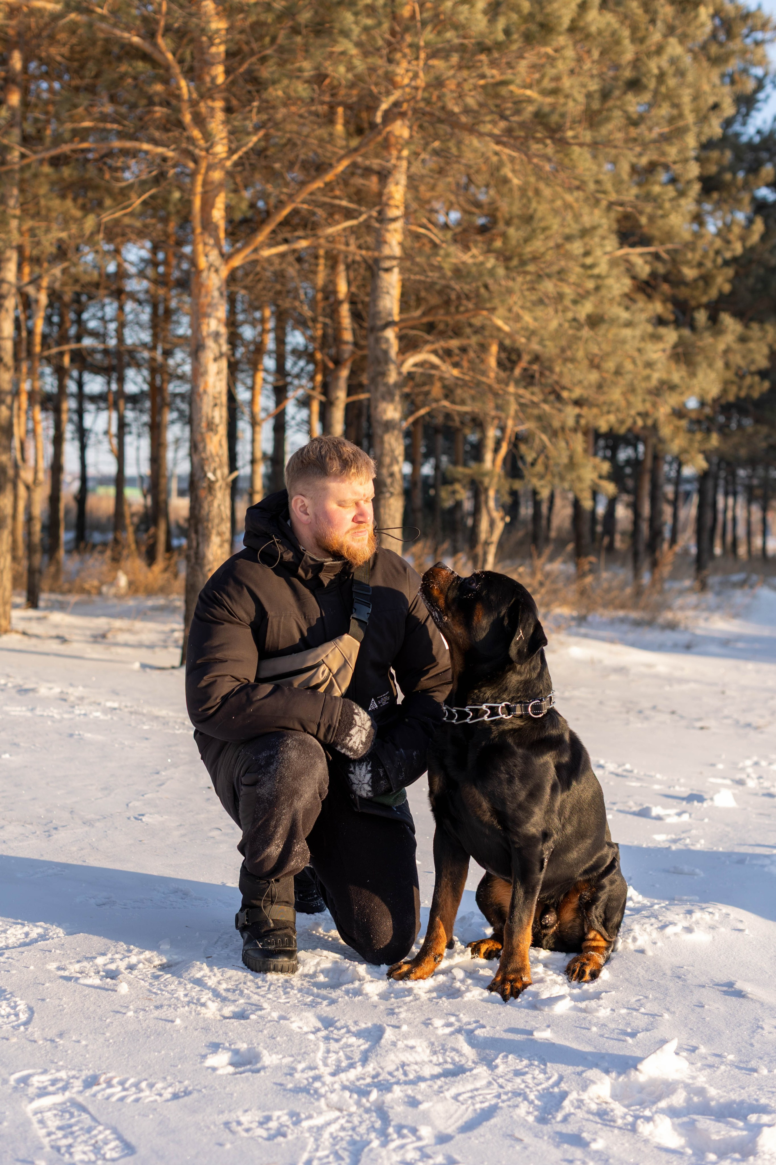 Зимняя прогулка. Art my Pho