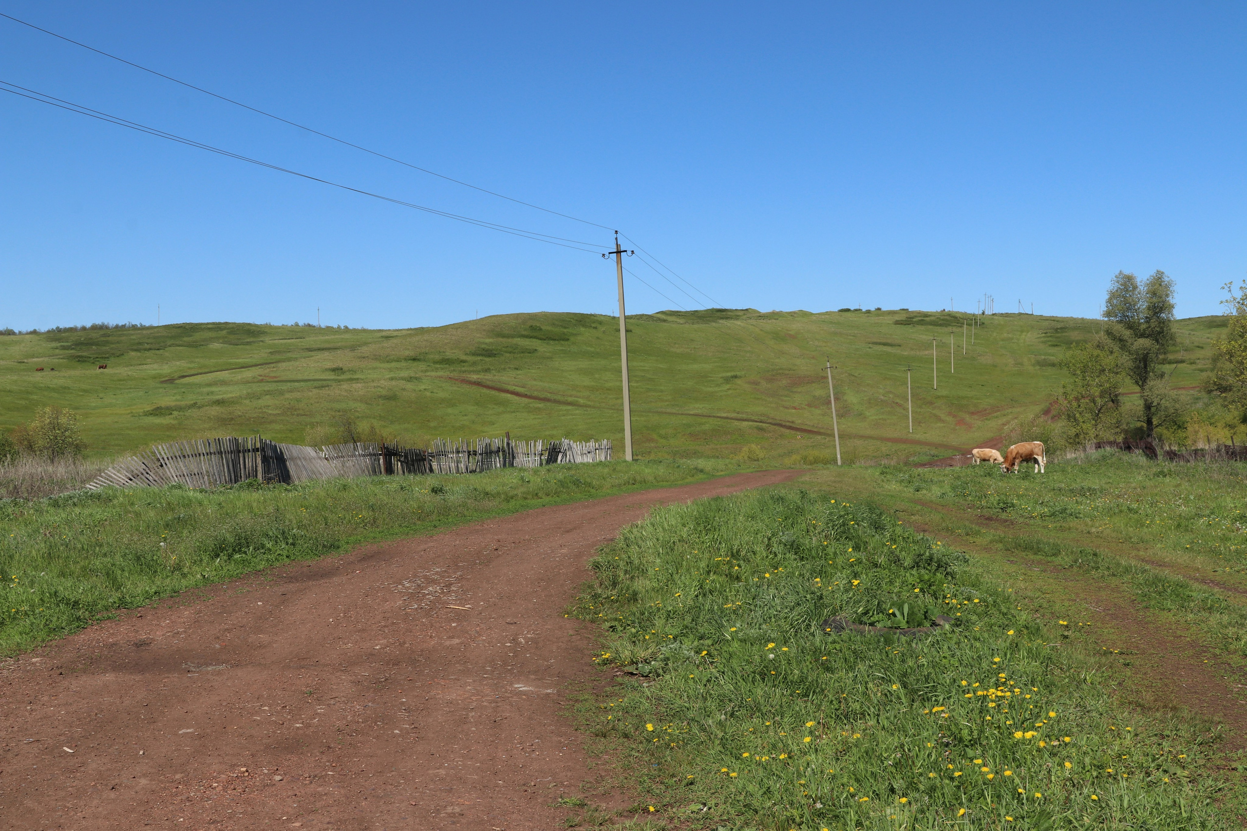 Велопоход Уфа — Мелеуз. Май 2024. Путешественник-фотограф из Санкт-Петербурга Татьяна Свистулина