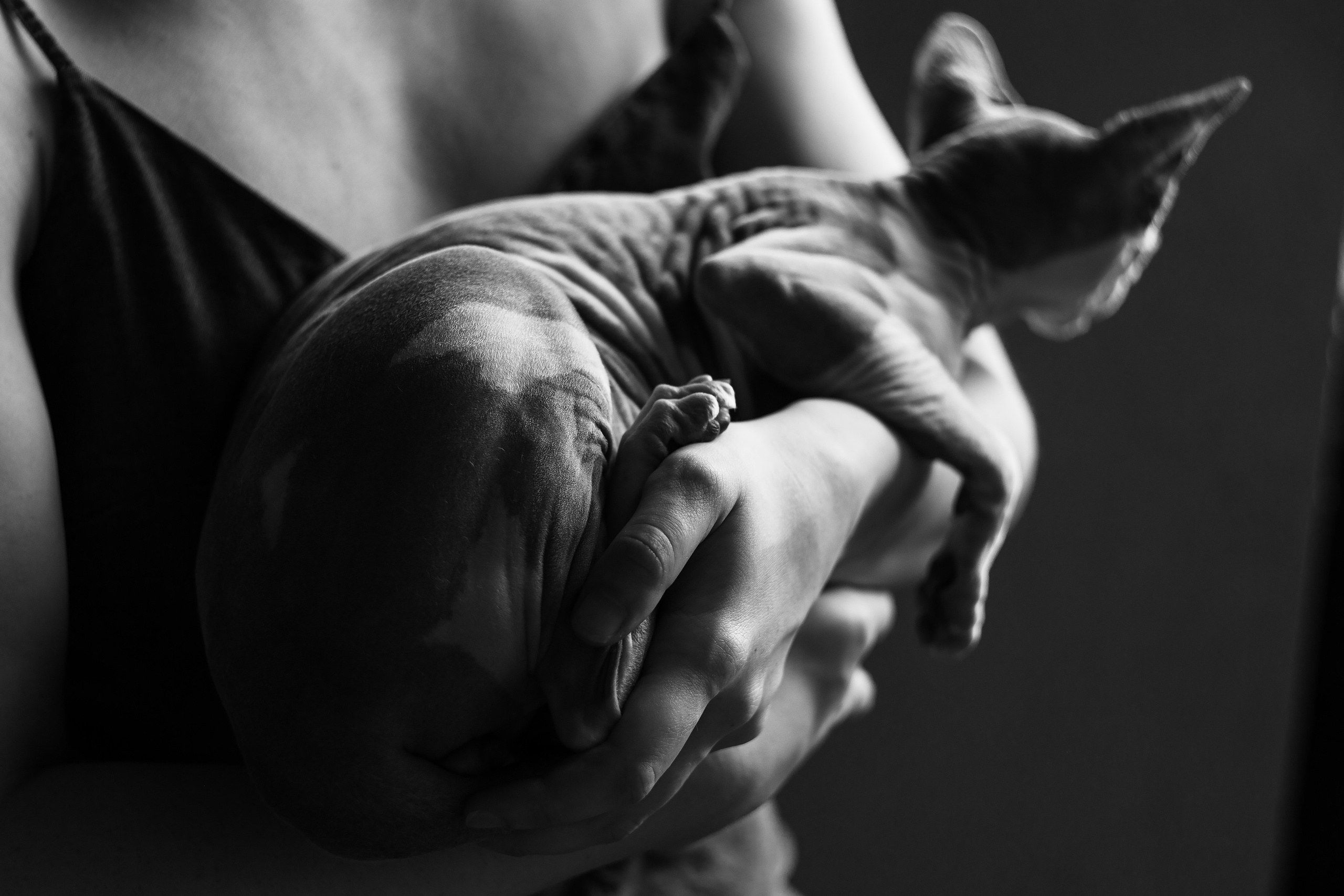 Красавица и Григорий. Семьи, портреты, школьные съемки. Фотограф Лагутина Елена. Москва