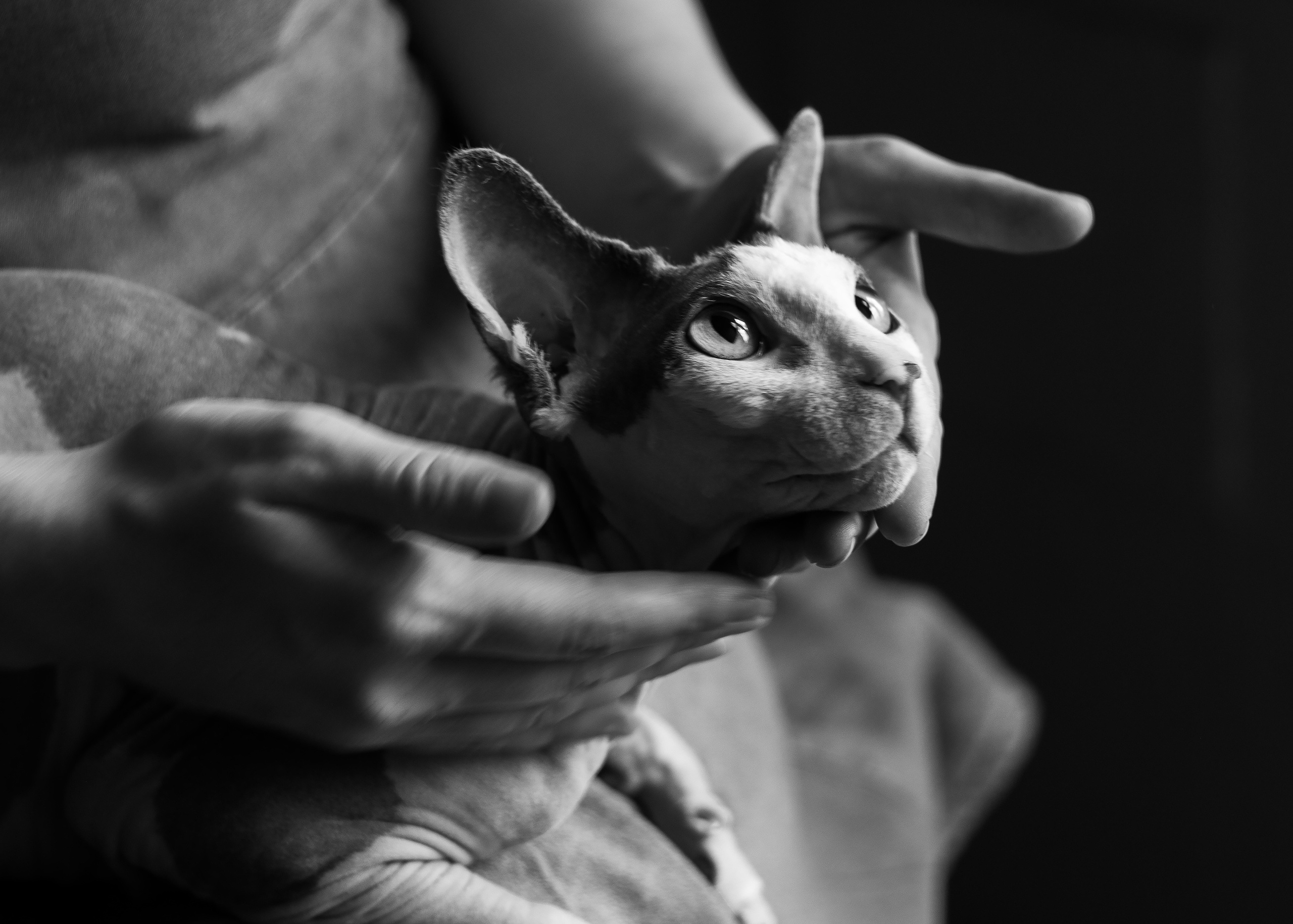 Красавица и Григорий. Семьи, портреты, школьные съемки. Фотограф Лагутина Елена. Москва