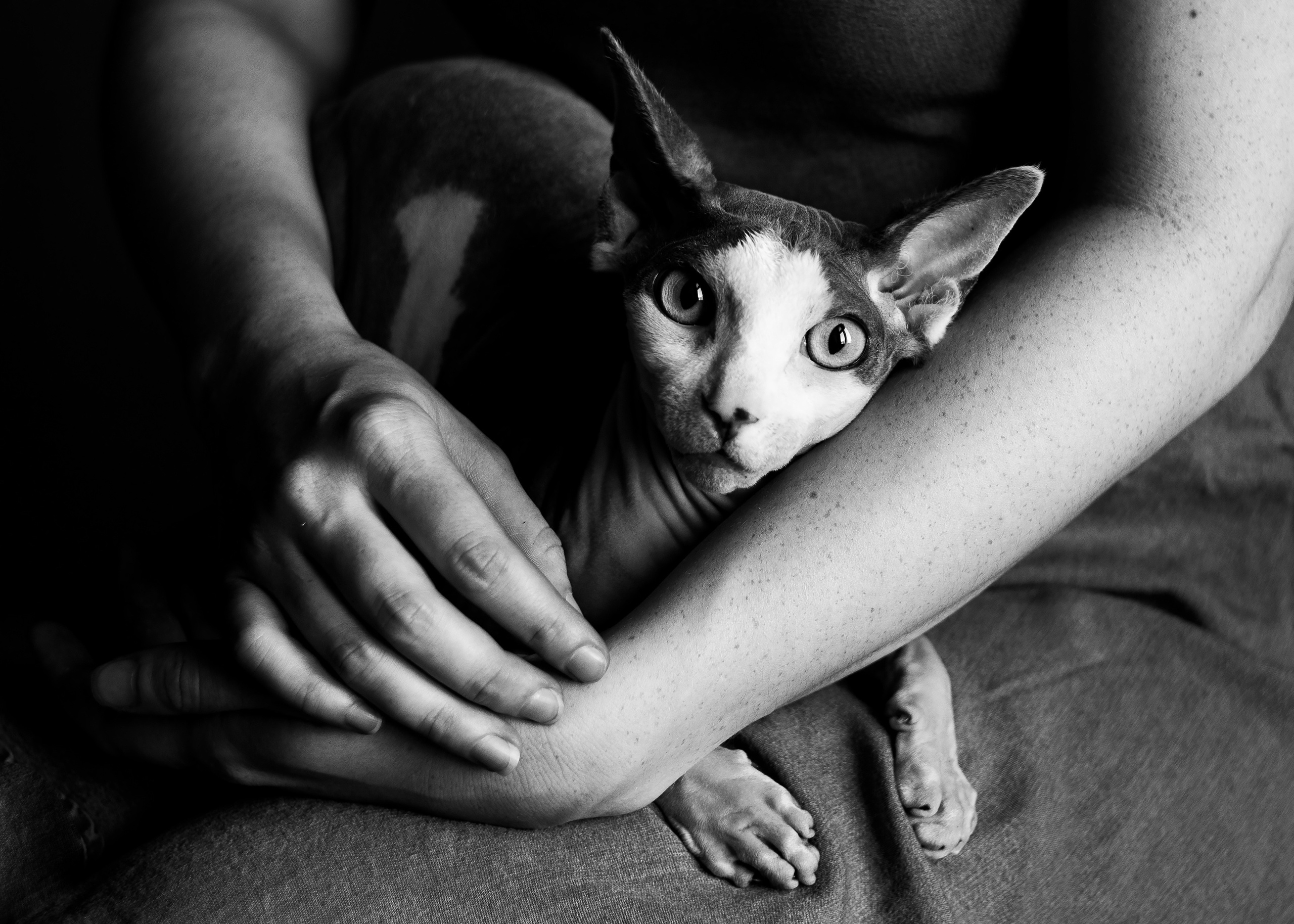 Красавица и Григорий. Семьи, портреты, школьные съемки. Фотограф Лагутина Елена. Москва