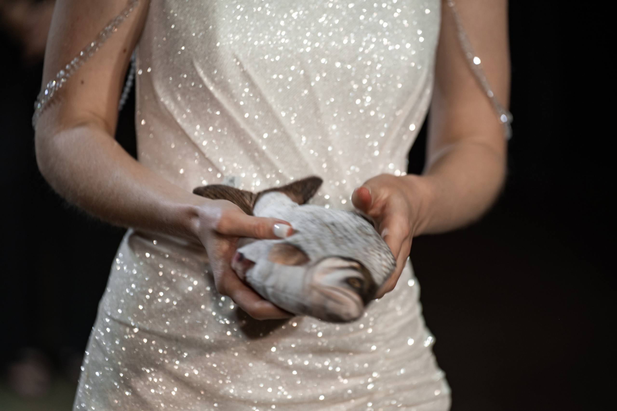 2024. Богдан и Ирина. Свадебный и семейный фотограф в Москве и Европе Евгения Амелина