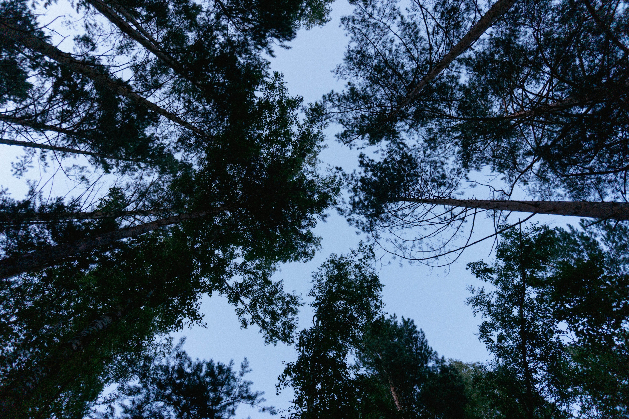 31.07.2025 | Красноярск. Kuznetsov | Фотограф в Красноярске