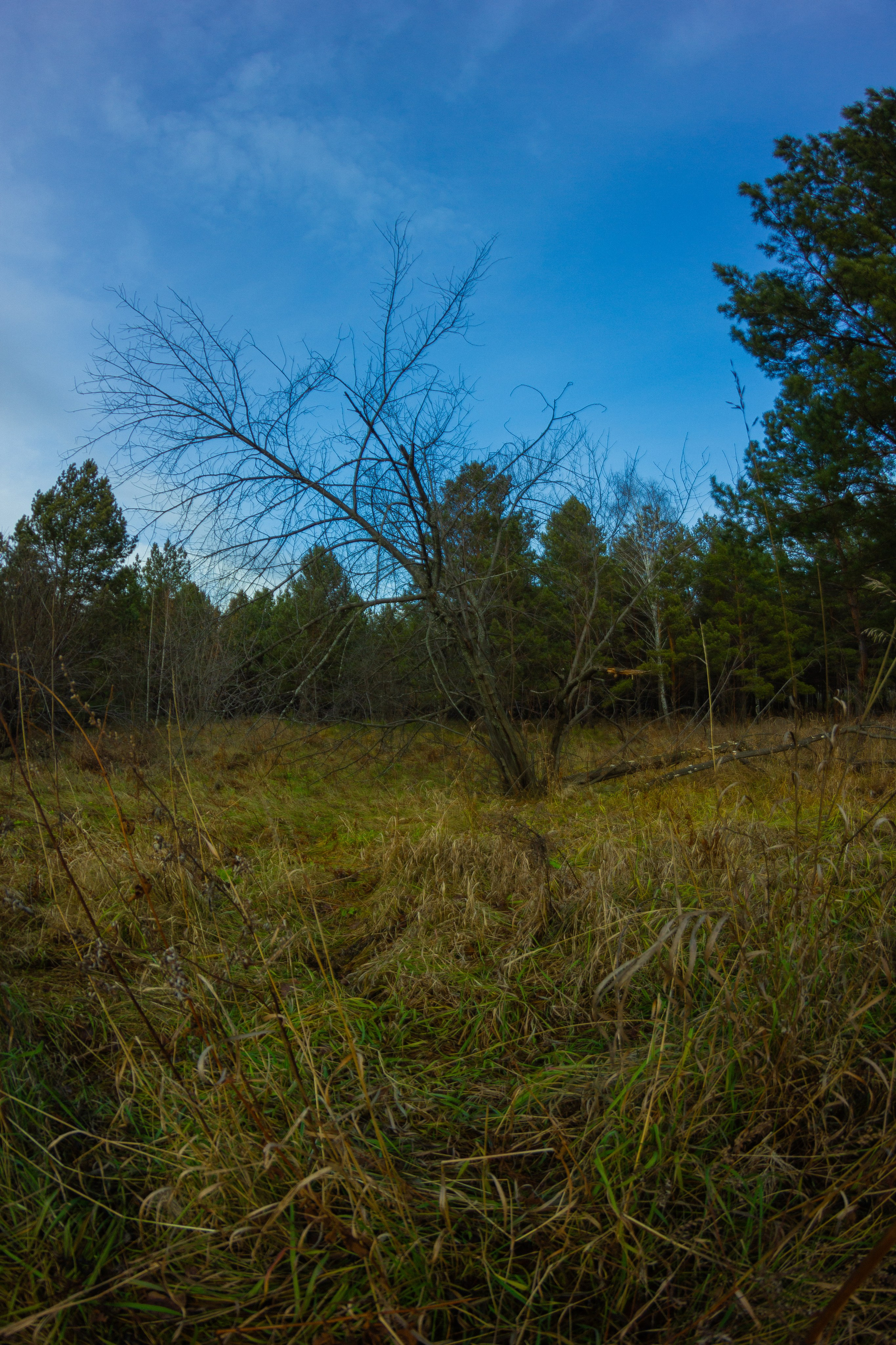 04.11.2024 | Сосновоборск. Kuznetsov | Фотограф в Красноярске