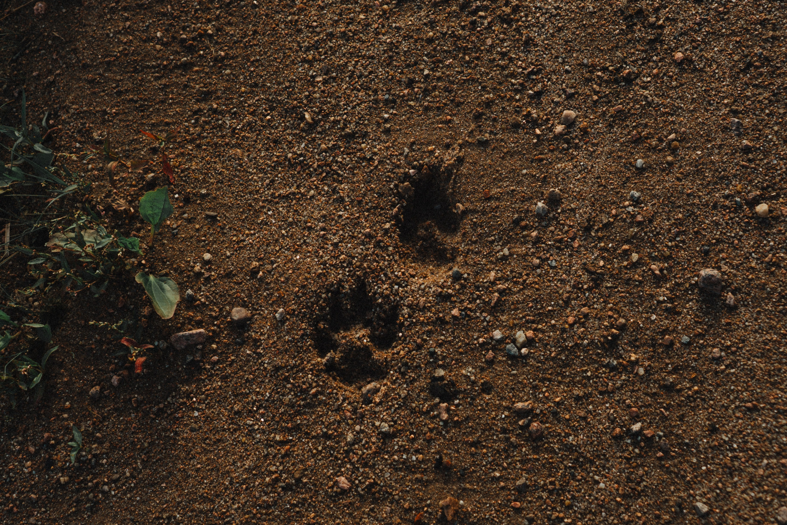 МАМА И ДОЧКА НА ФИНСКОМ ЗАЛИВЕ. Профессиональный фотограф, Санкт-Петербург — Виктория Богомолова