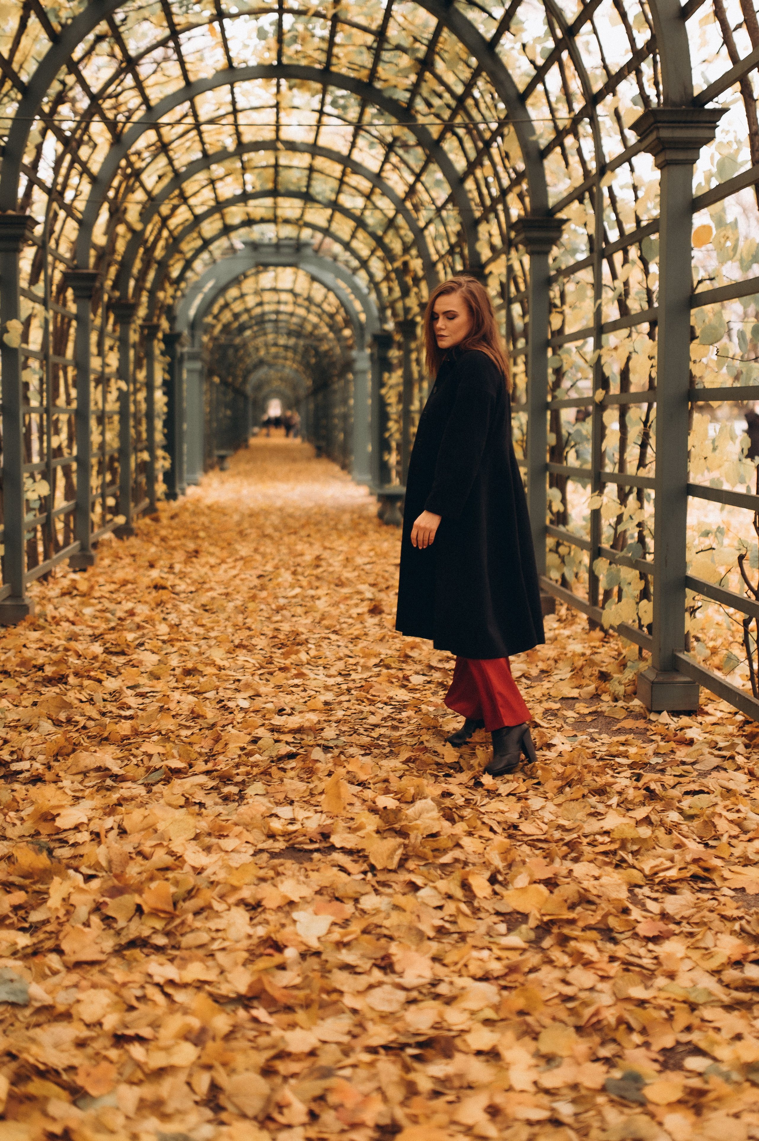Осенняя индивидуальная фотопрогулка летний сад. Фотограф ПИТЕР СПБ Надежда Баранова