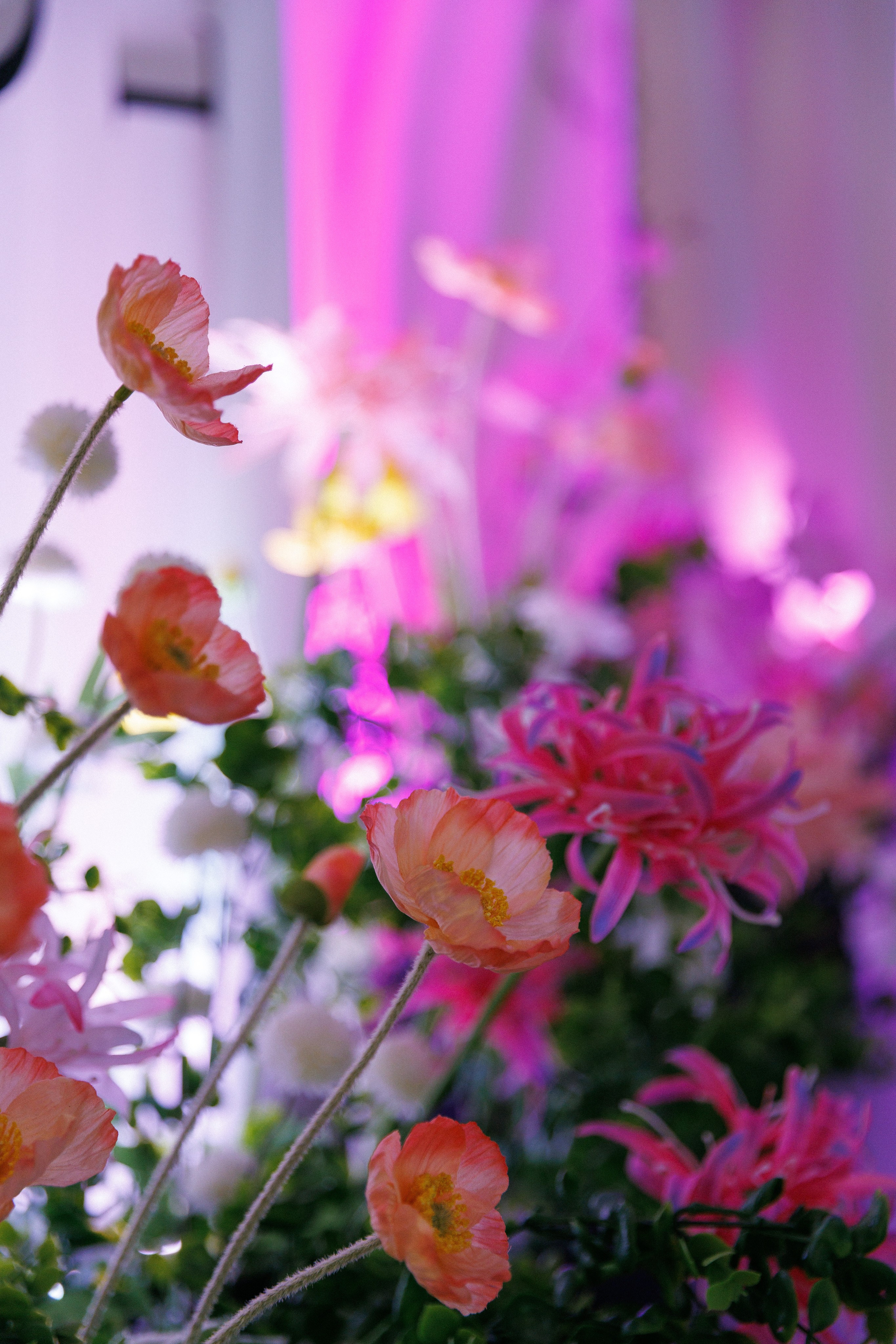 Дмитрий и Ирина. Свадебный и репортажный фотограф в Санкт-Петербурге Николай Голованов