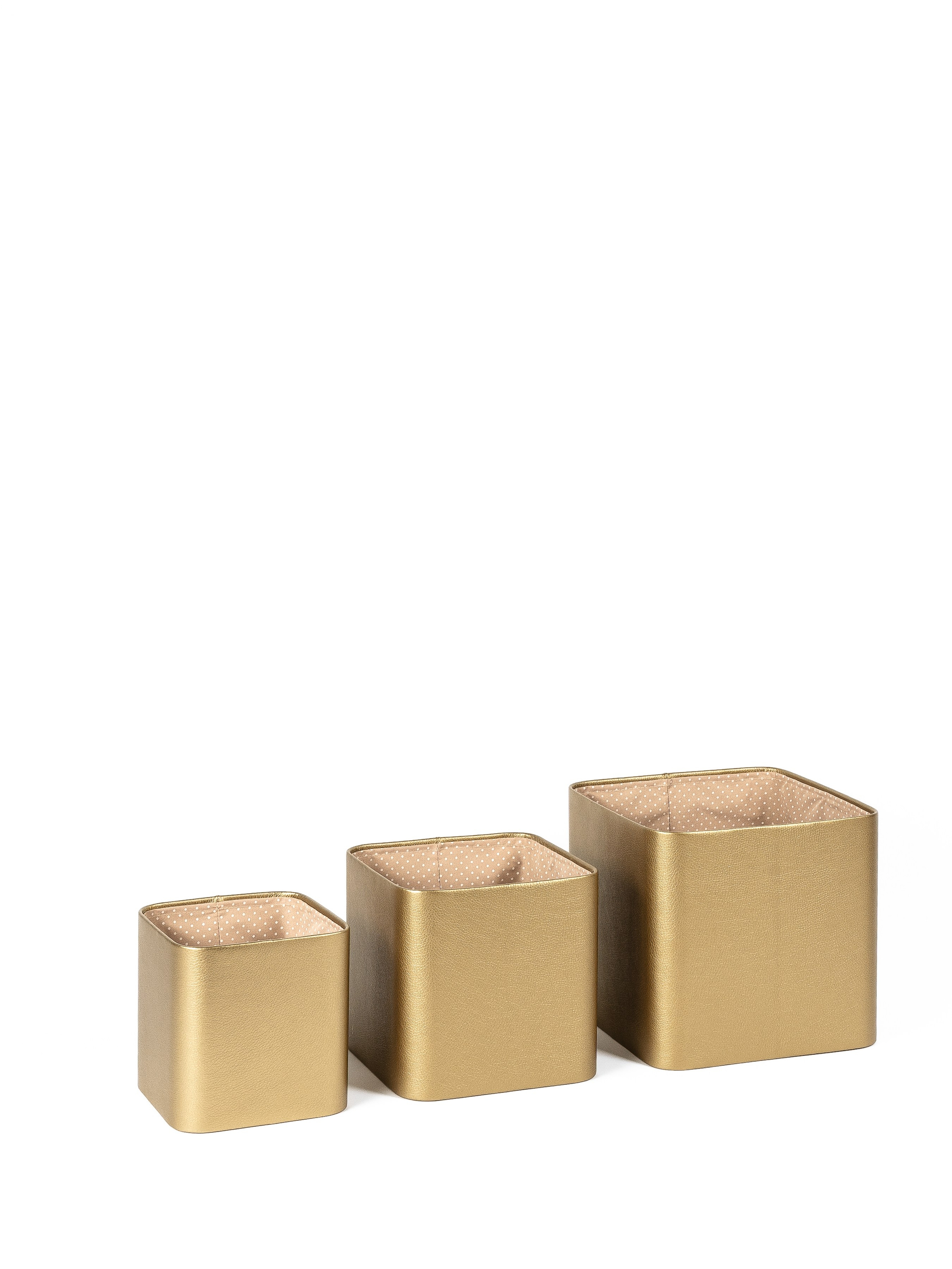 Rompicato. Nadezhda Migunova, Photographer