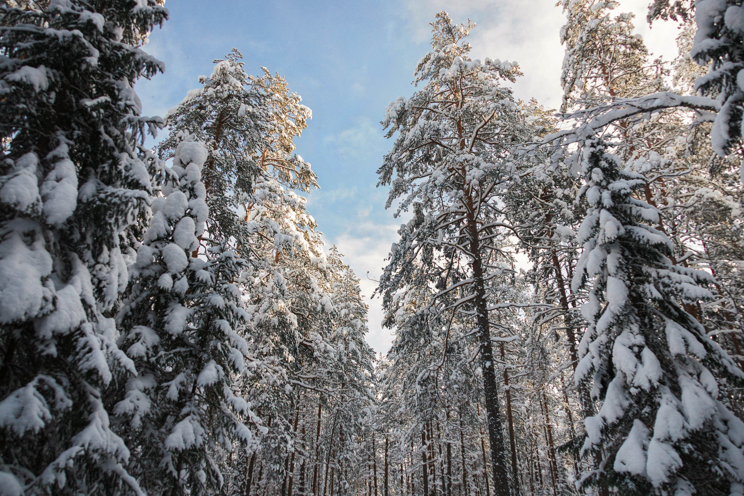 Churza | Фотограф в Санкт-Петербурге | Портретная, репортажная, рекламная съемка
