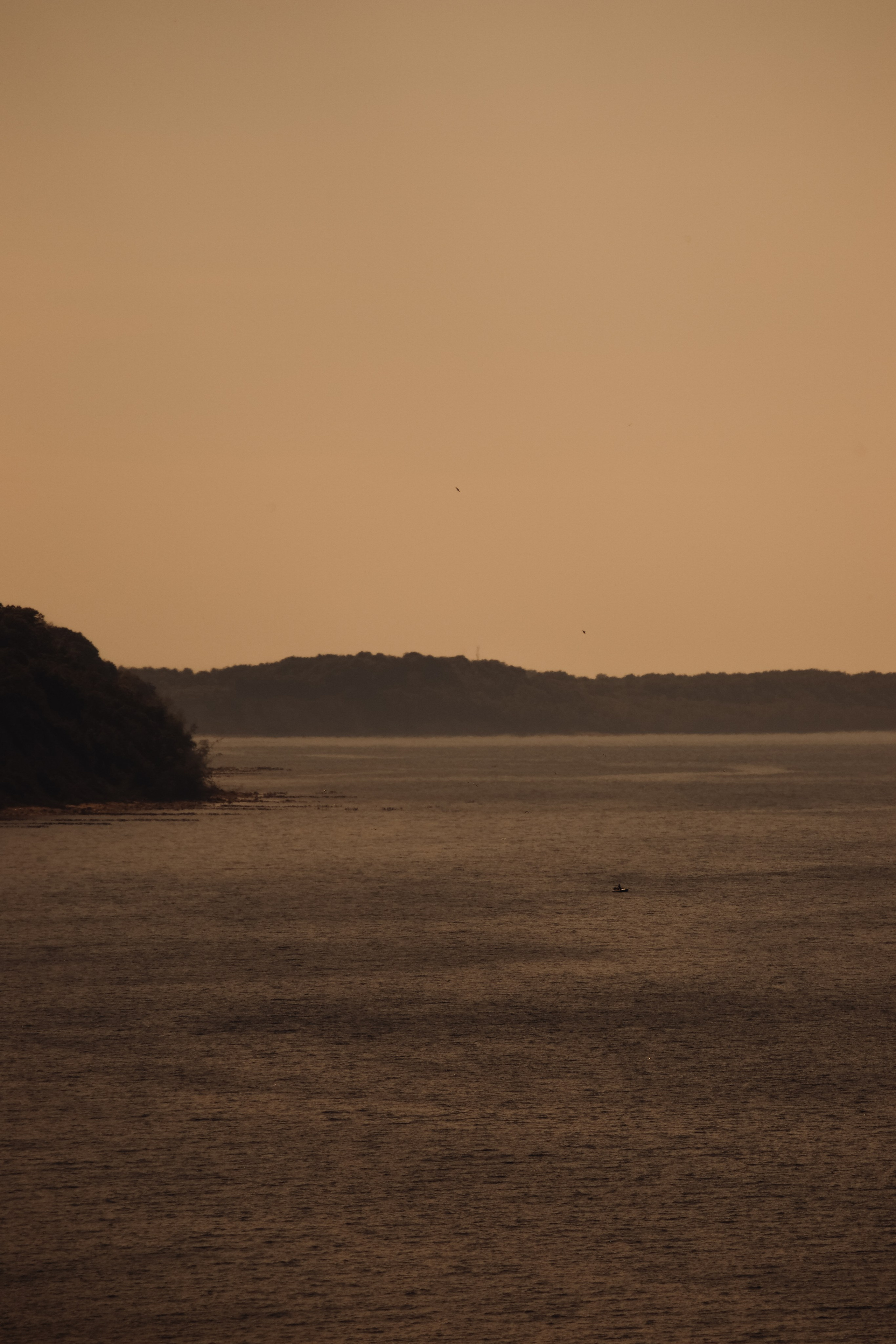 С Е П И Я. — Digital Noise —