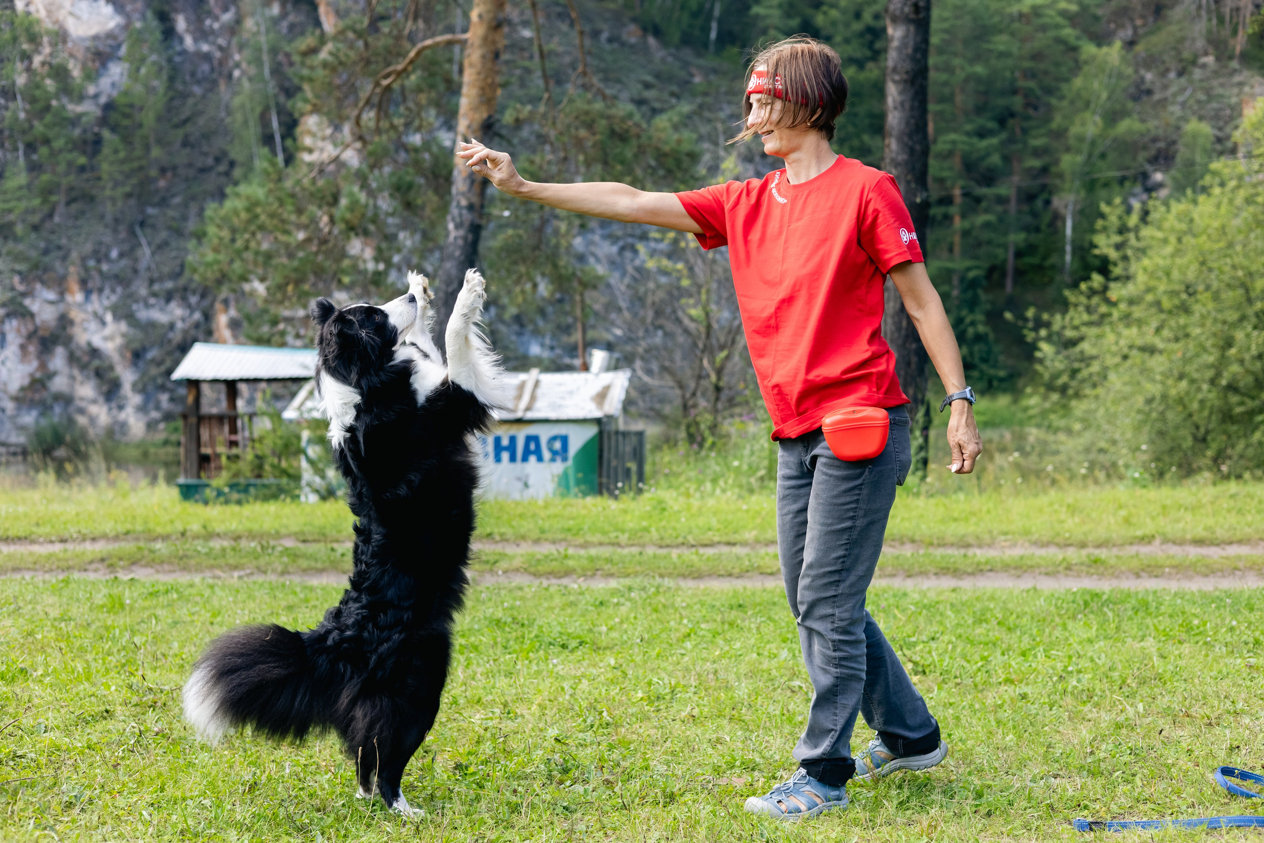 VI ОТКРЫТЫЕ КИНОЛОГИЧЕСКИЕ СОРЕВНОВАНИЯ. ЧЕЛЯБИНСКАЯ ОБЛАСТЬ 2025. Репортажный фотограф Наталья Лапцевич