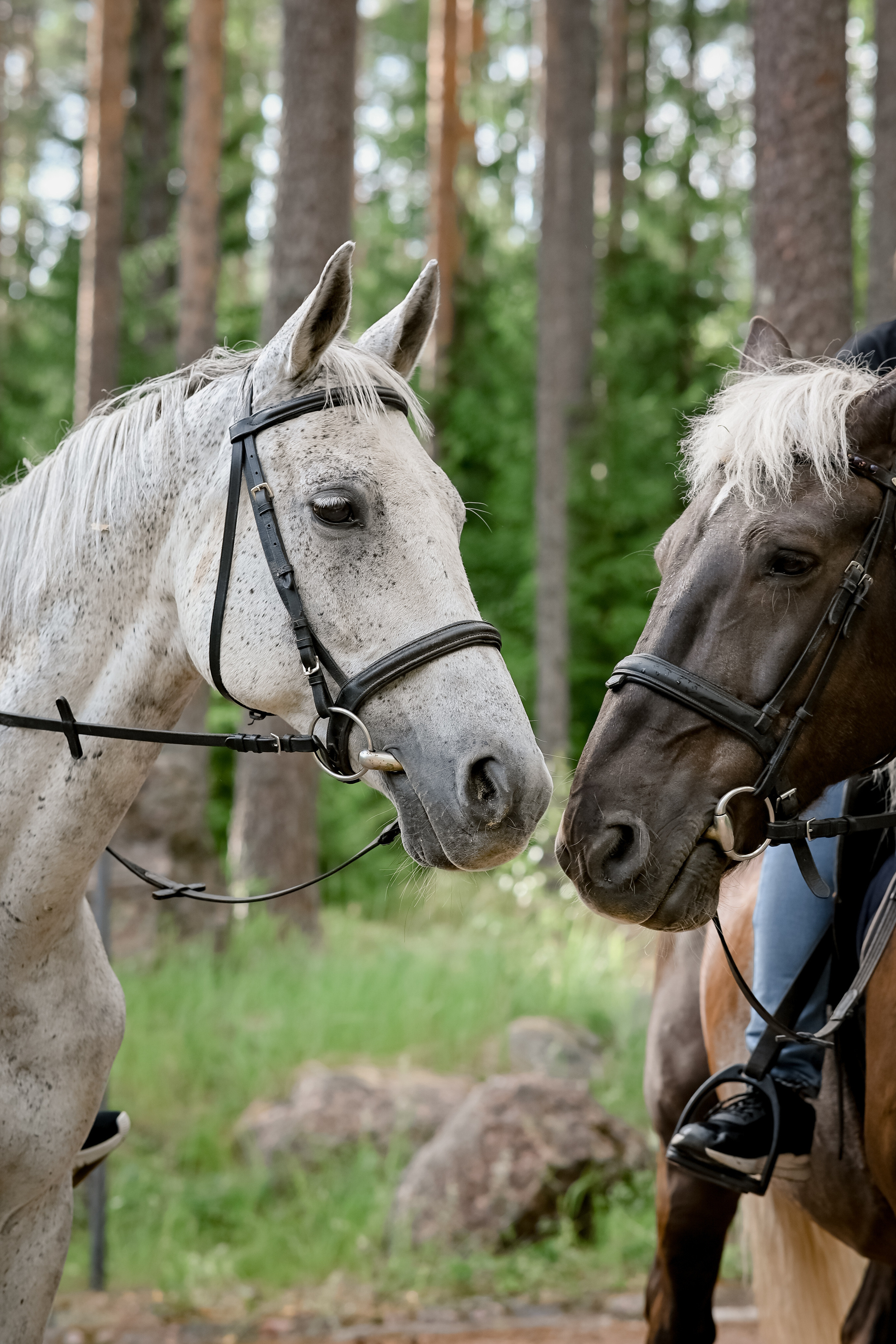Отзывы. LifeStyle фотограф Анна Воробьёва Санкт-Петербург