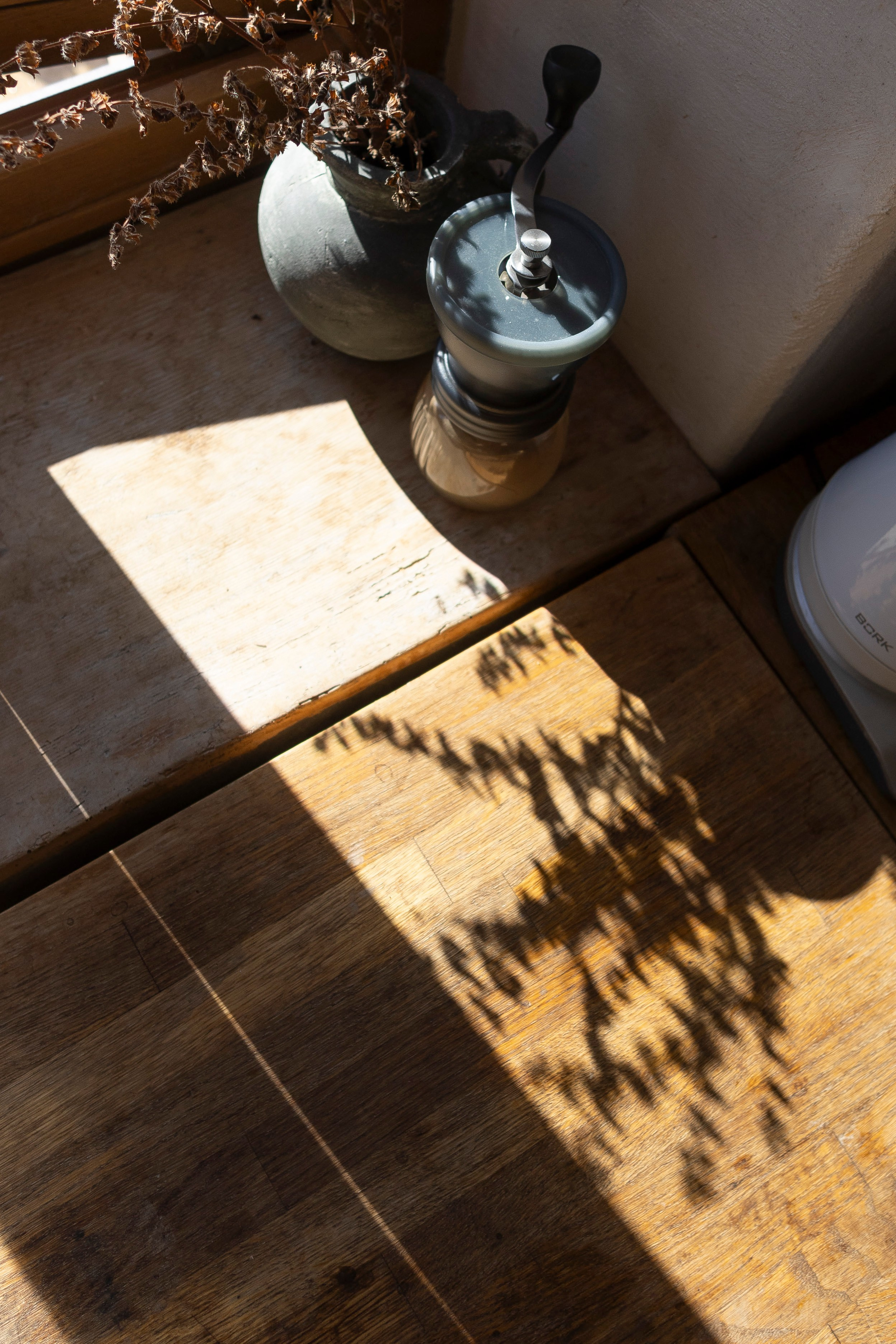 2 цветка. Фотограф Антон Горин