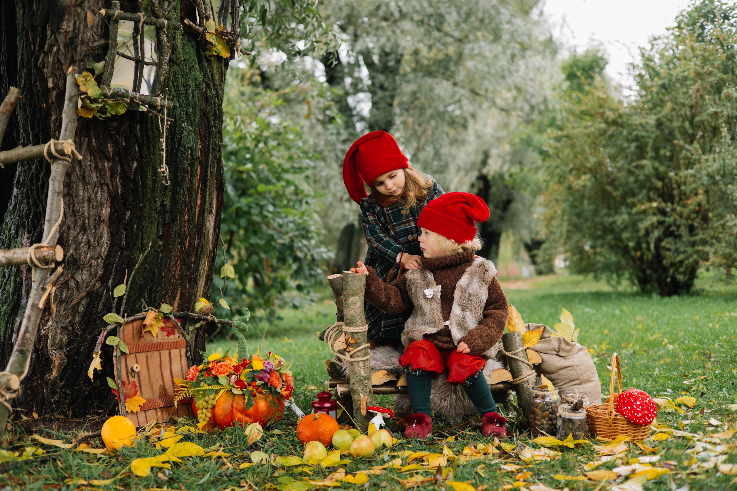 Гномики. Фотография с любовью от Людмилы Луценко