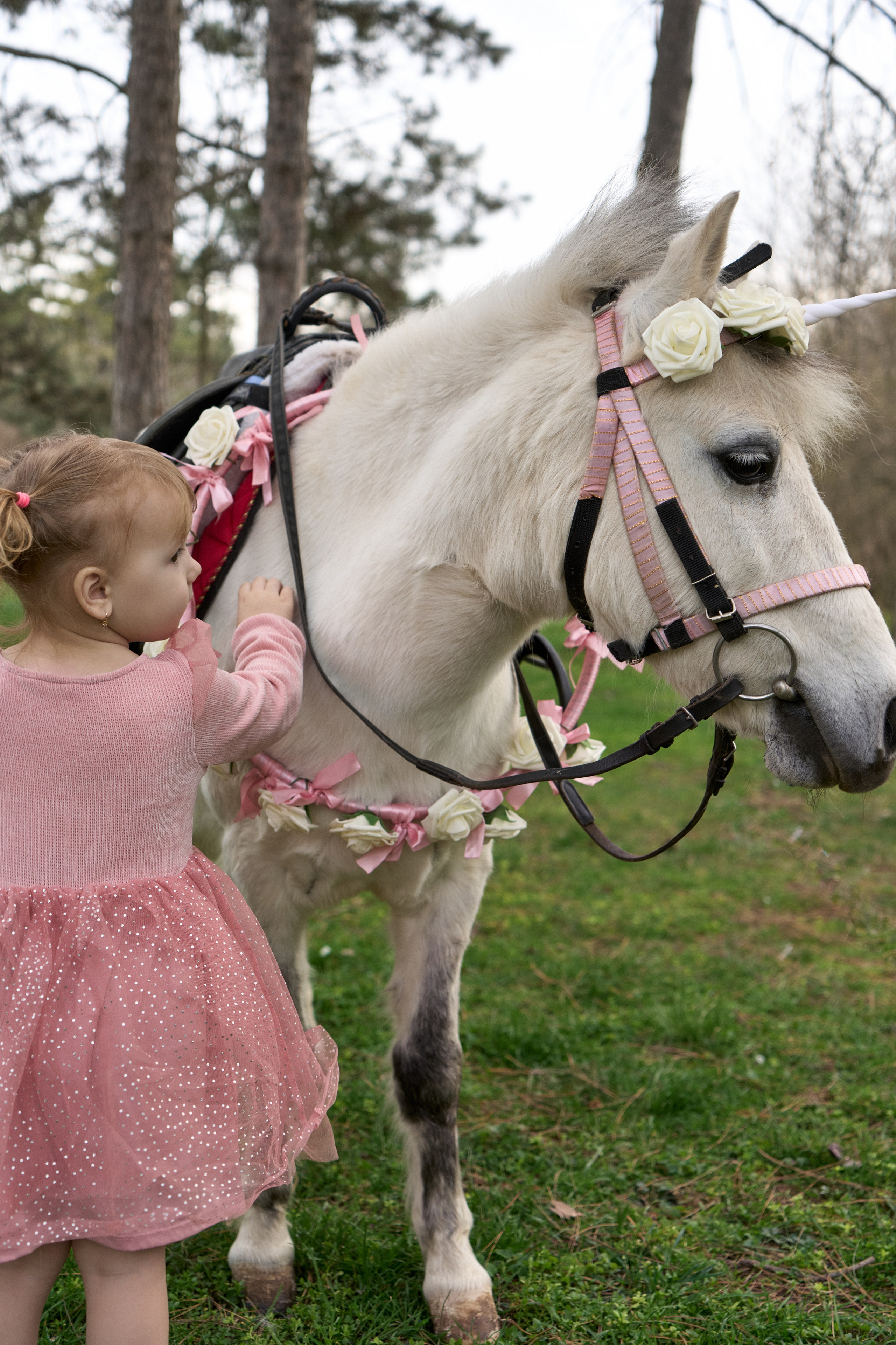 Злата. Фотограф в Краснодаре Татьяна Вижевитова